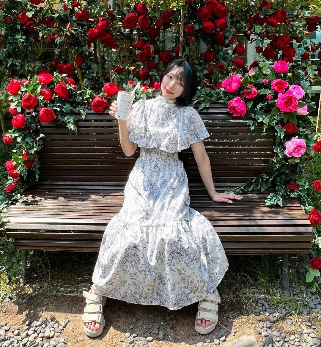 えっちゃんさんのインスタグラム写真 - (えっちゃんInstagram)「🌷🌸🌺🌻 . .  ここはとあるオフィスの庭❁⃘*.ﾟ . デートでお花畑に行きたい😇 珍しく、久しぶりにワンピース👗 . .  #韓国 #お花  #flowers  #ポートレート  #ポートレート撮影  #portrait  #派手髪  #派手髪ショート」6月18日 13時25分 - ecchan_bom2