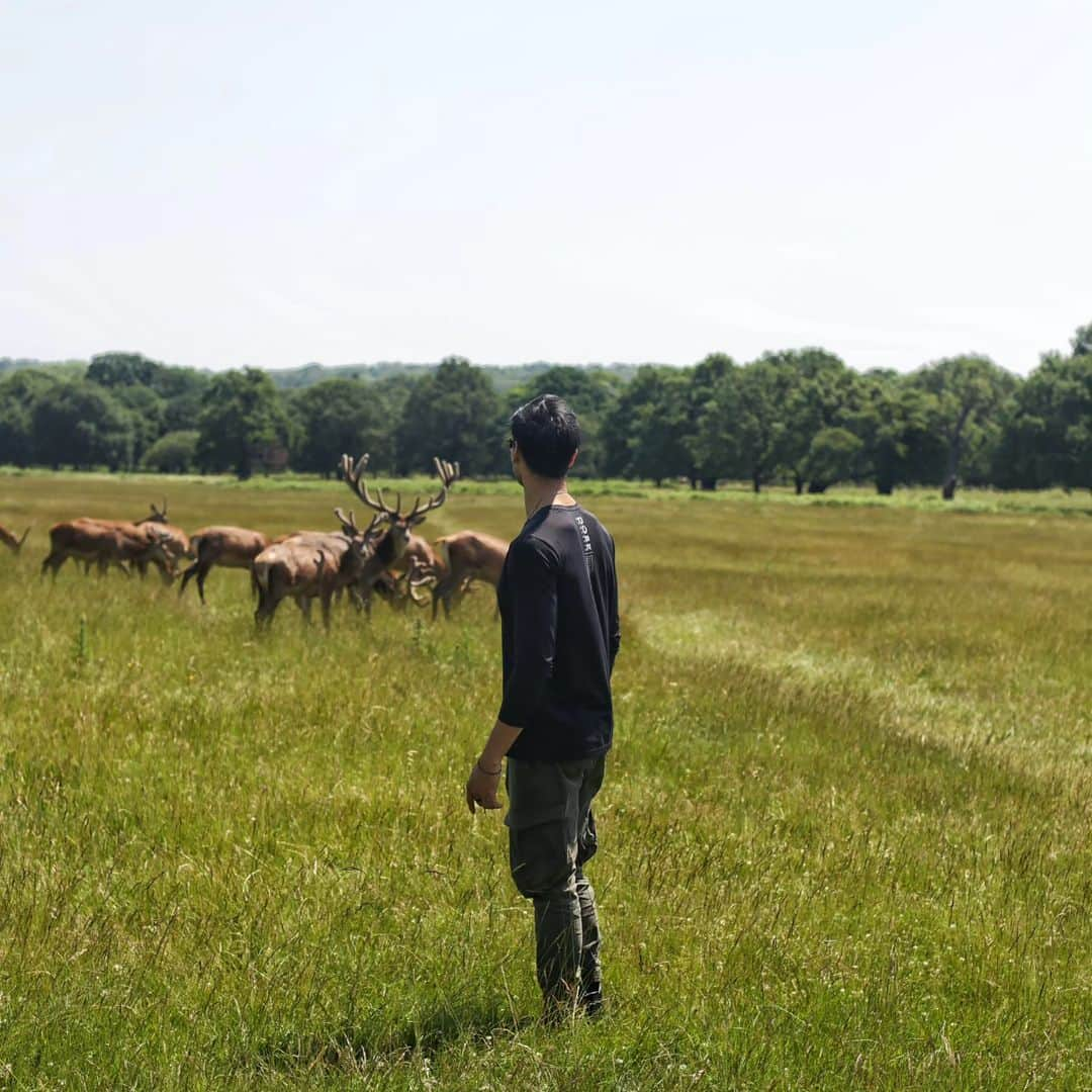 ティムさんのインスタグラム写真 - (ティムInstagram)「=> Gotta Catch 'Em All ! 🦌🪿🦅 . 📸 @clarissasirica . . . . #amazinglondon #richmondpark #BMA #bmamodels #londonmodel #uk」6月18日 14時21分 - timmaiau