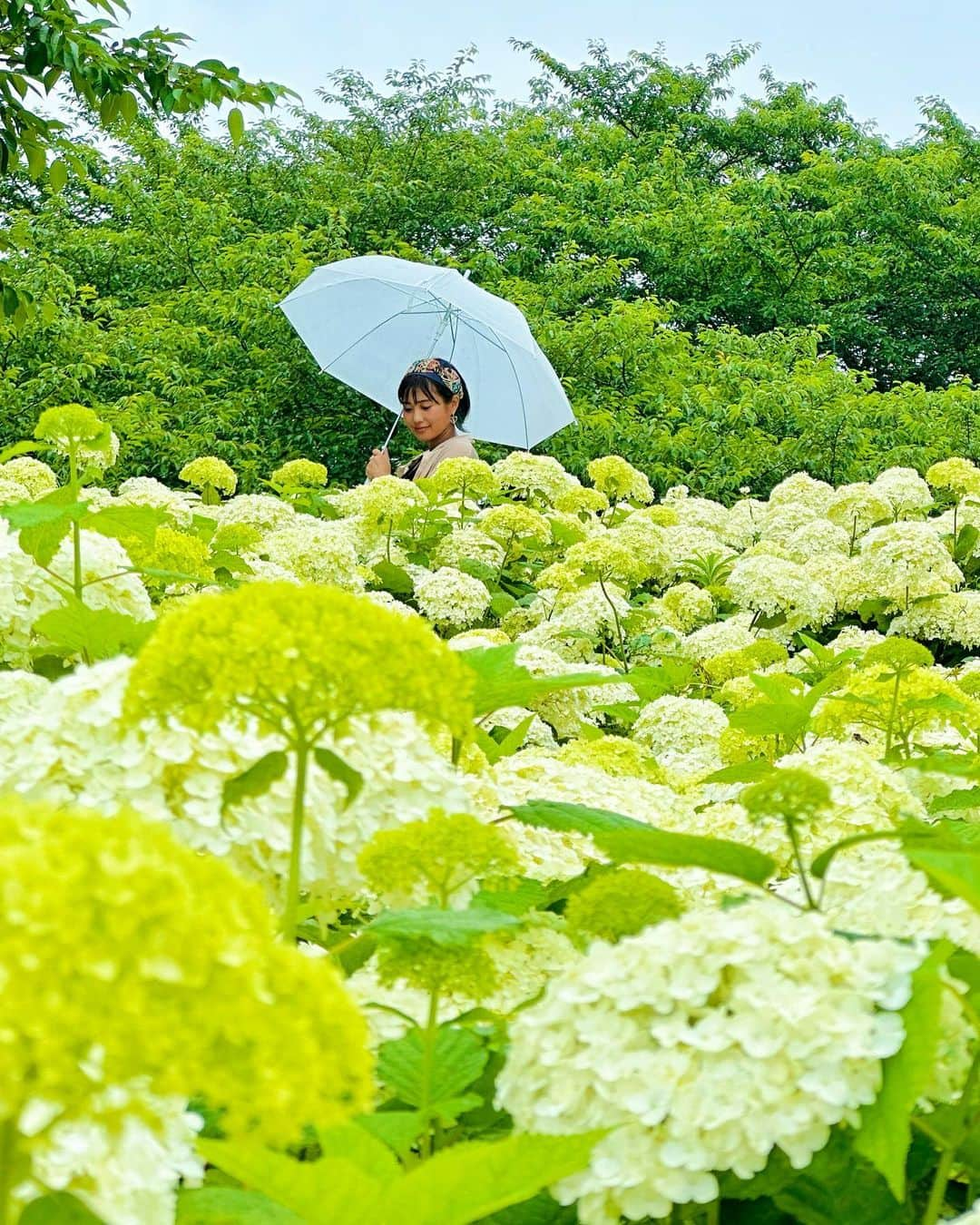 秋吉織栄（宮内かれん）のインスタグラム