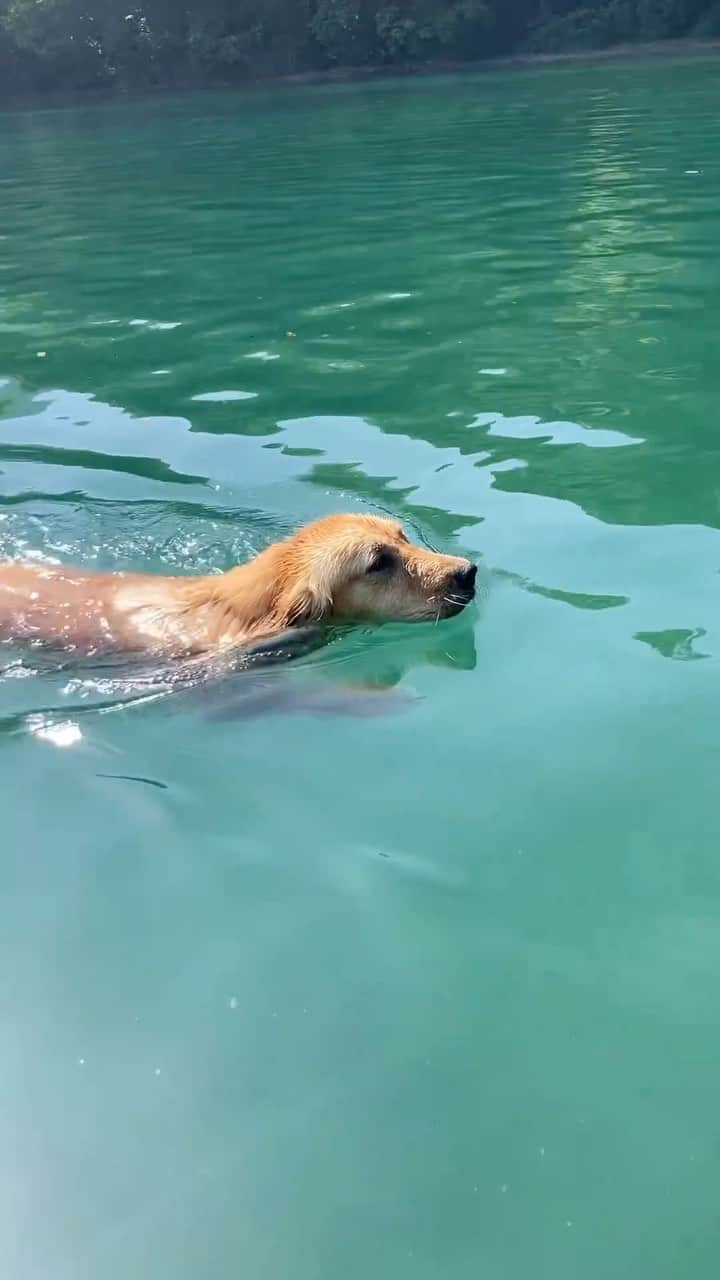 國母和宏のインスタグラム：「🏊🏻」