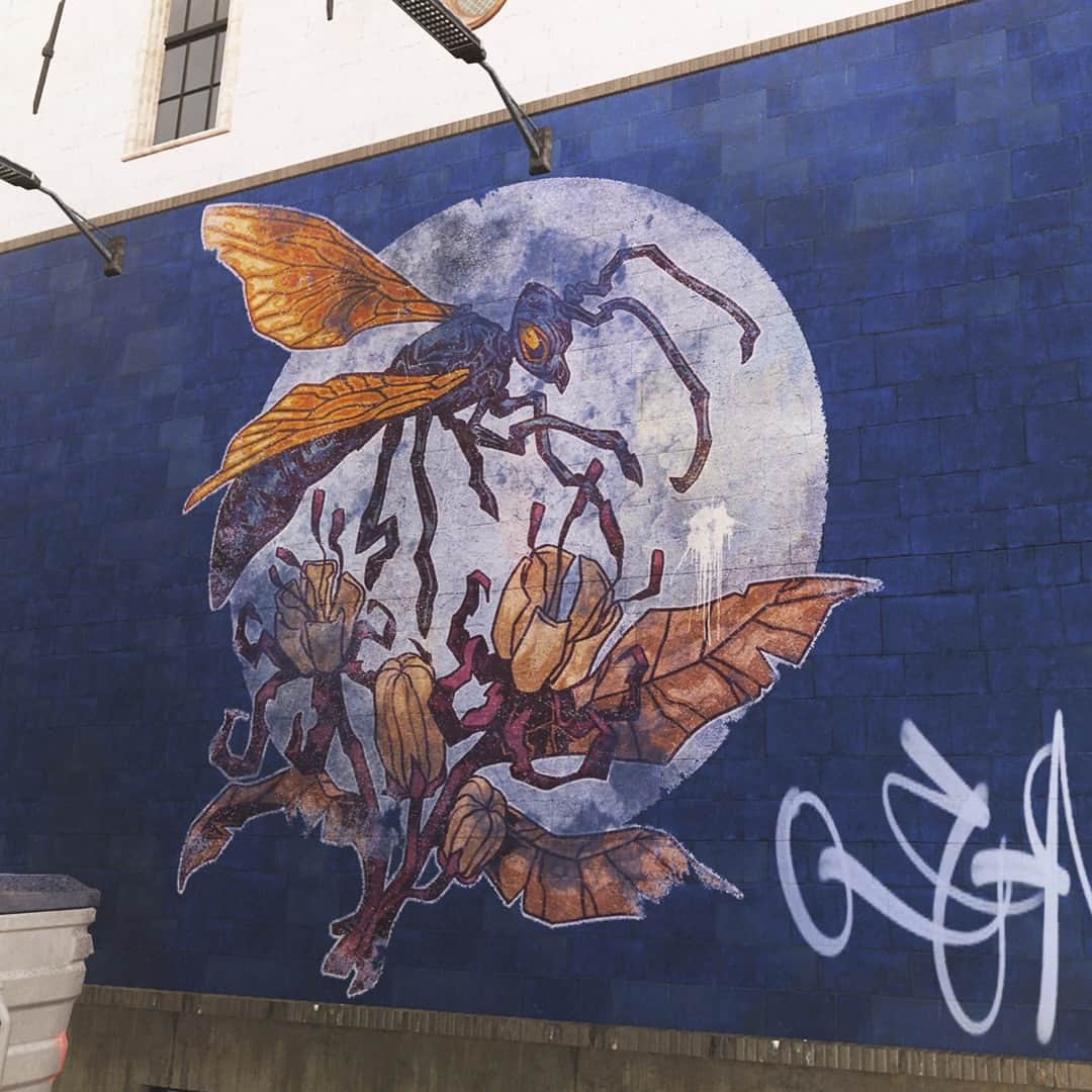 のインスタグラム：「There's art everywhere you look in Vondel 🎨🏢」