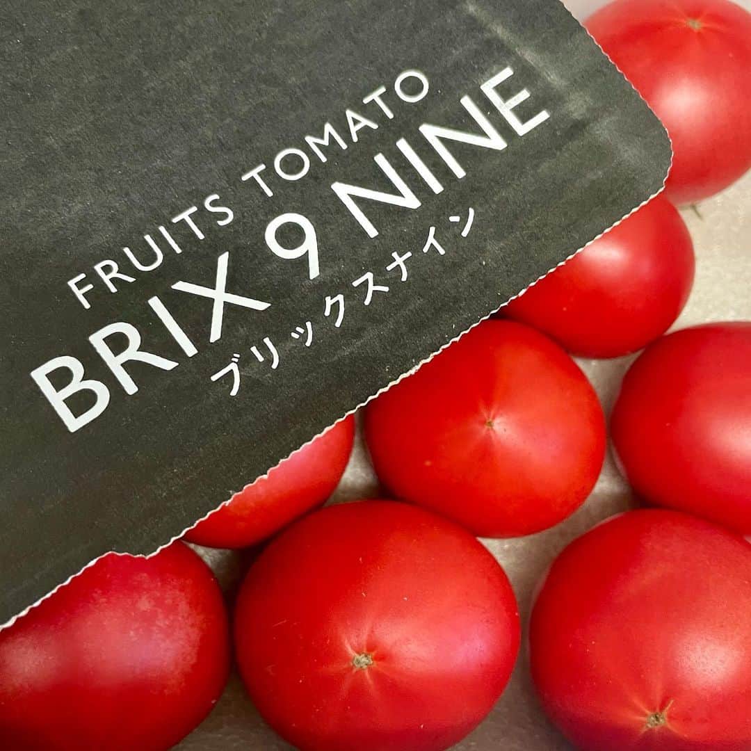 のインスタグラム：「珍しく食べ物の話をひとつ...  今まで食べてきた中で 1番美味しい🍅トマト🍅 #群馬県 #ブリックスナイン  最近はスーパーで めちゃくちゃ高いトマトを 見かけるようになりましたが その中でも群を抜いて甘くて美味しい。 高いけどそれだけの価値がありますよ。  色々と食べた中でこれが1番‼︎ もし見かけたら騙されたと思って 試してみて下さい。  #落語 #大阪 #大阪観光ナビゲーター」