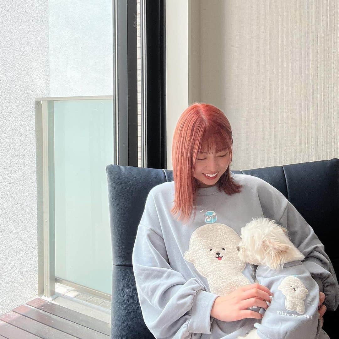 あおいれなさんのインスタグラム写真 - (あおいれなInstagram)「かわいすぎる愛犬とおそろっちコーデ🐩👏❤️‍🔥  @asknowasplus さんのお洋服 とっても可愛くて着心地も良きです！！！ わんこも気に入ってたくさん着てくれてます⸝⸝ᐡ. ̫ .ᐡ⸝⸝🤍  #愛犬 #おそろい #コーデ #asknowasplus さん」6月18日 18時13分 - aoi_rena_