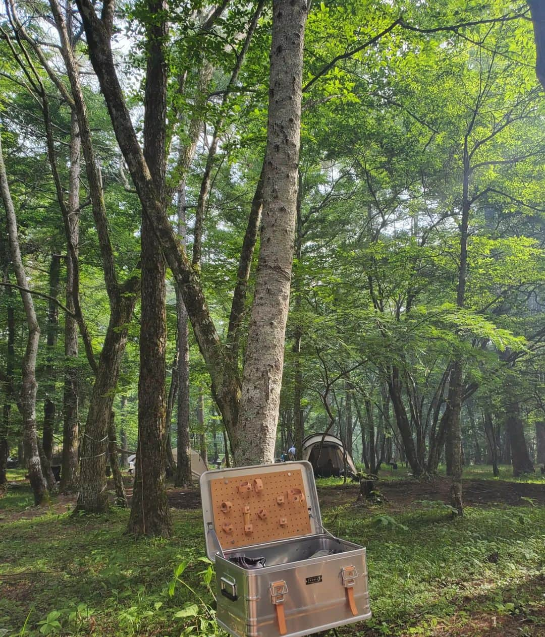 小谷津友里さんのインスタグラム写真 - (小谷津友里Instagram)「山中湖キャンプ⛺🌳 暑くなってきてからのキャンプは初めて！ 最高気温27度くらいあったはずだけど、 キャンプ場が林間だったから、結構涼しかった😊 木漏れ日が綺麗ですごーく癒された！  虫が本当に沢山いて 見たことない大きなサイズの蟻とか ホタルがテーブルの上を散歩してたりとか...笑🐜 慣れてきてなんとも思わなくなってきた🤣 キャンプの力　笑  焼きマシュマロと トマトキムチサムギョプサル最高😋🍅  #キャンプ #キャンプ飯 #キャンプ場 #山中湖 #山中湖キャンプ #山中湖キャンプ場 #林間キャンプ #camp #camping #山梨県 #山梨旅 #travel #大自然 #キャンプコーデ 7 #サムギョプサル #トマトキムチ #目玉焼き#ベーコン #キャンプギア #焼きマシュマロ #スモア #国内旅行」6月18日 18時13分 - yurikoyatsu