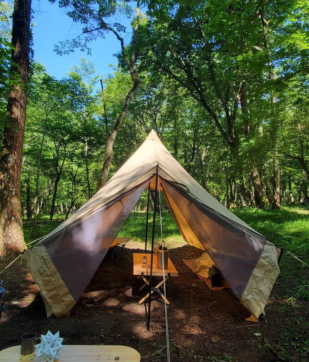 小谷津友里さんのインスタグラム写真 - (小谷津友里Instagram)「山中湖キャンプ⛺🌳 暑くなってきてからのキャンプは初めて！ 最高気温27度くらいあったはずだけど、 キャンプ場が林間だったから、結構涼しかった😊 木漏れ日が綺麗ですごーく癒された！  虫が本当に沢山いて 見たことない大きなサイズの蟻とか ホタルがテーブルの上を散歩してたりとか...笑🐜 慣れてきてなんとも思わなくなってきた🤣 キャンプの力　笑  焼きマシュマロと トマトキムチサムギョプサル最高😋🍅  #キャンプ #キャンプ飯 #キャンプ場 #山中湖 #山中湖キャンプ #山中湖キャンプ場 #林間キャンプ #camp #camping #山梨県 #山梨旅 #travel #大自然 #キャンプコーデ 7 #サムギョプサル #トマトキムチ #目玉焼き#ベーコン #キャンプギア #焼きマシュマロ #スモア #国内旅行」6月18日 18時13分 - yurikoyatsu