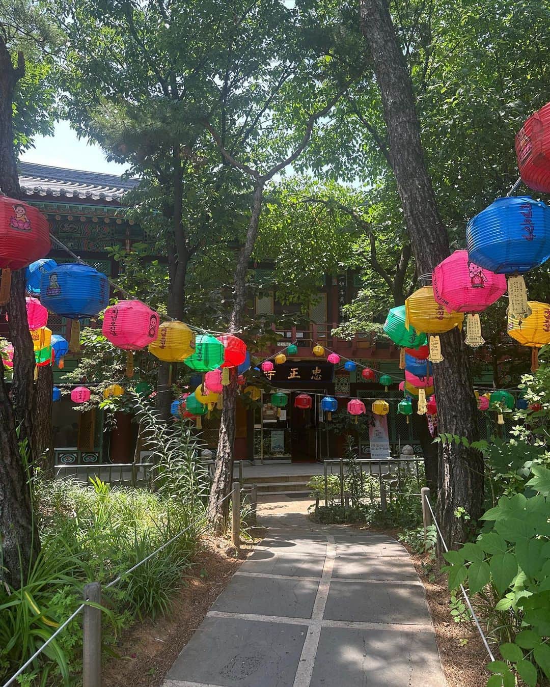自見彩さんのインスタグラム写真 - (自見彩Instagram)「한국🇰🇷♡ 初めての一人旅~  不思議とはじめから不安もなく 何とかなりそうな気しかしなくて 沢山歩いていっぱい幸せ吸い込んできた~  歴史ある建物も再現された建物も家具も綺麗で好みすぎてずっとずっと見てたかったなぁ  目的によってホテルの場所選びって大事なんだろうなぁとか意外と荷物少なくても行けちゃうなとか(お洋服は着回しと現地調達にした)、初めての事ばかりだったけど色々知れて楽しかった~  またすぐ行きたいなぁ、 これを機に英語も勉強しようと思いました🫶◎ 優しく接してくれたおかげで初めてのひとり旅を素敵な思い出にしてくれた人がいてくれたことを忘れずに~。今度はちゃんと思ったことを全部伝えられますように~。」6月18日 18時15分 - z_by.saya0018