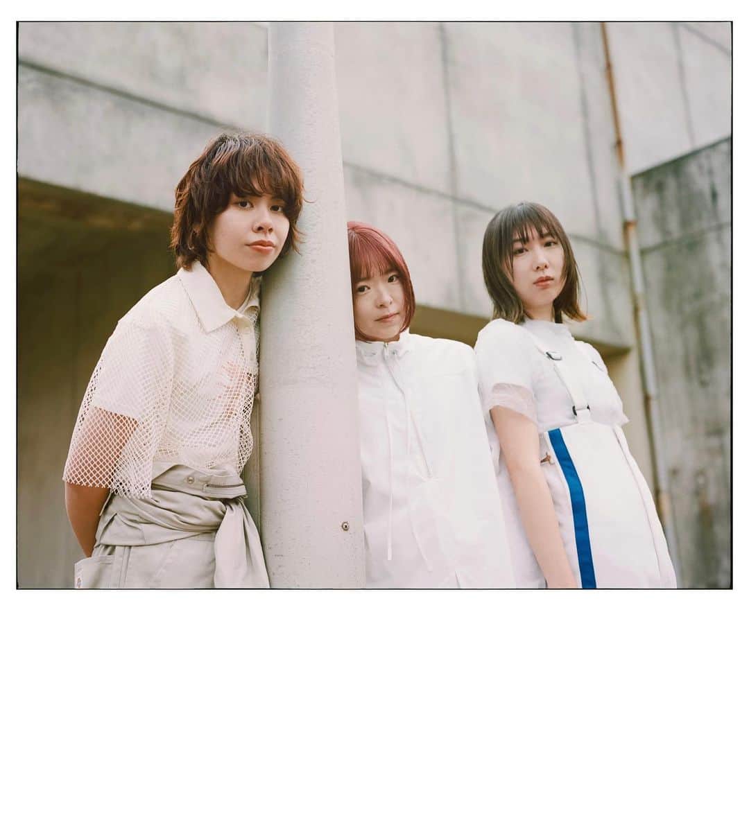 Kisshomaru S.のインスタグラム：「For @regallily_official , @nekoneko_guitar」
