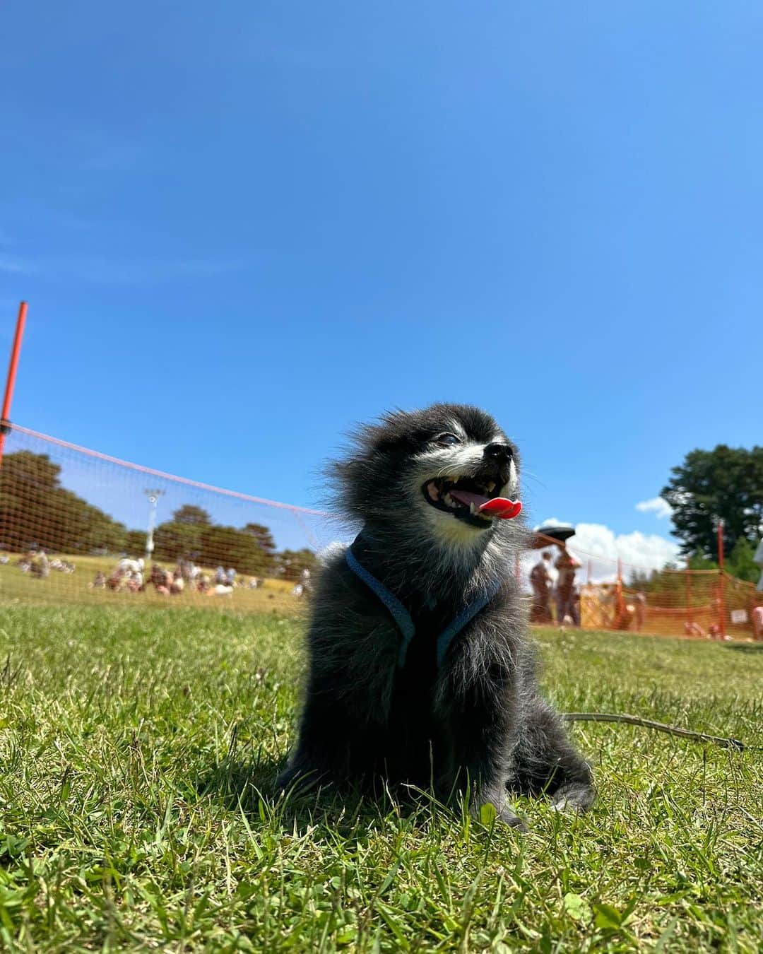 高坂友衣のグルメインスタ