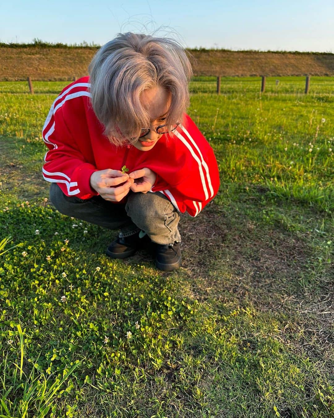 マシホさんのインスタグラム写真 - (マシホInstagram)「Found a 🍀」6月18日 19時12分 - mshtkt_tm