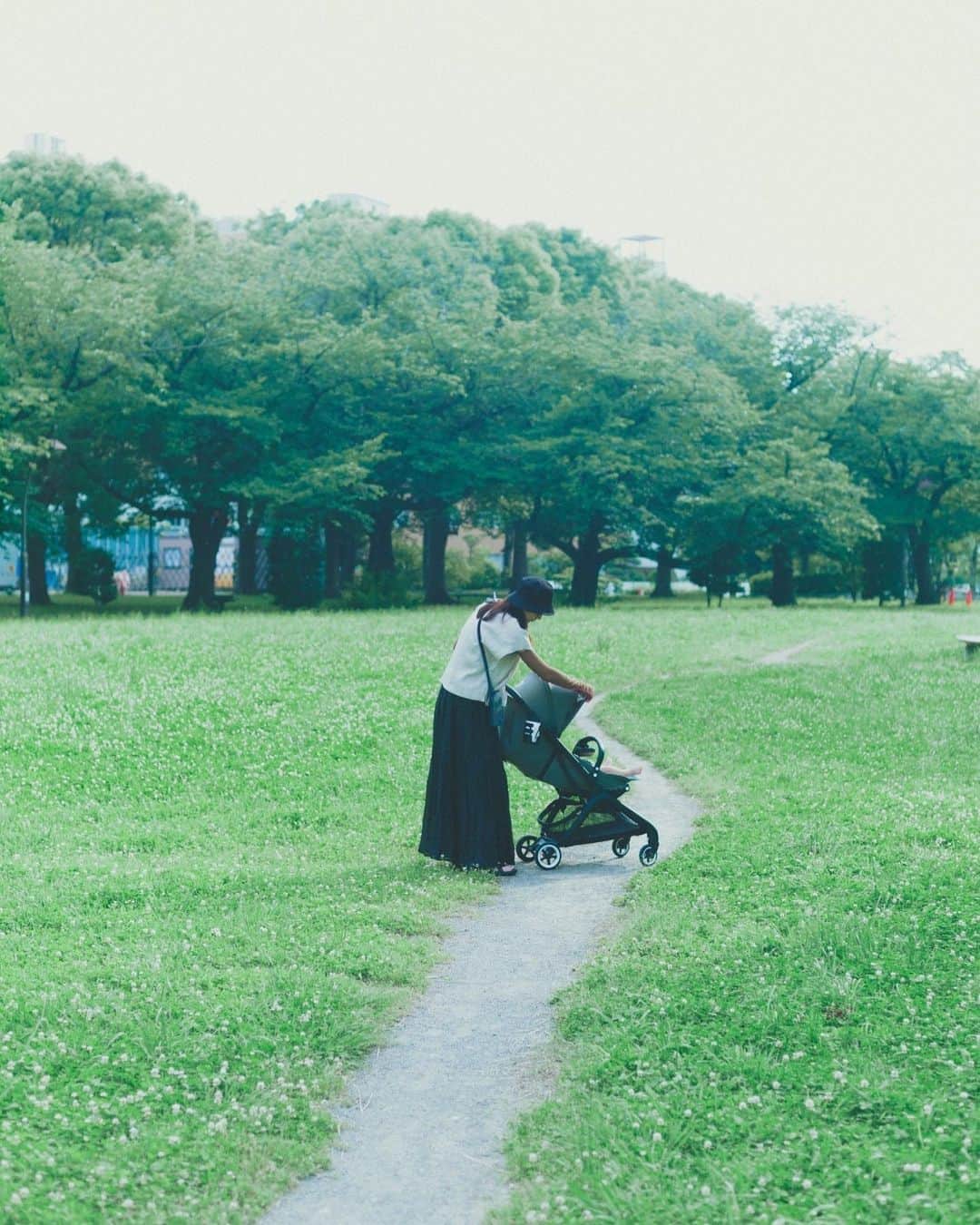 森本奈緒さんのインスタグラム写真 - (森本奈緒Instagram)「いつものさんぽ道🌿」6月18日 19時06分 - naomorimoto