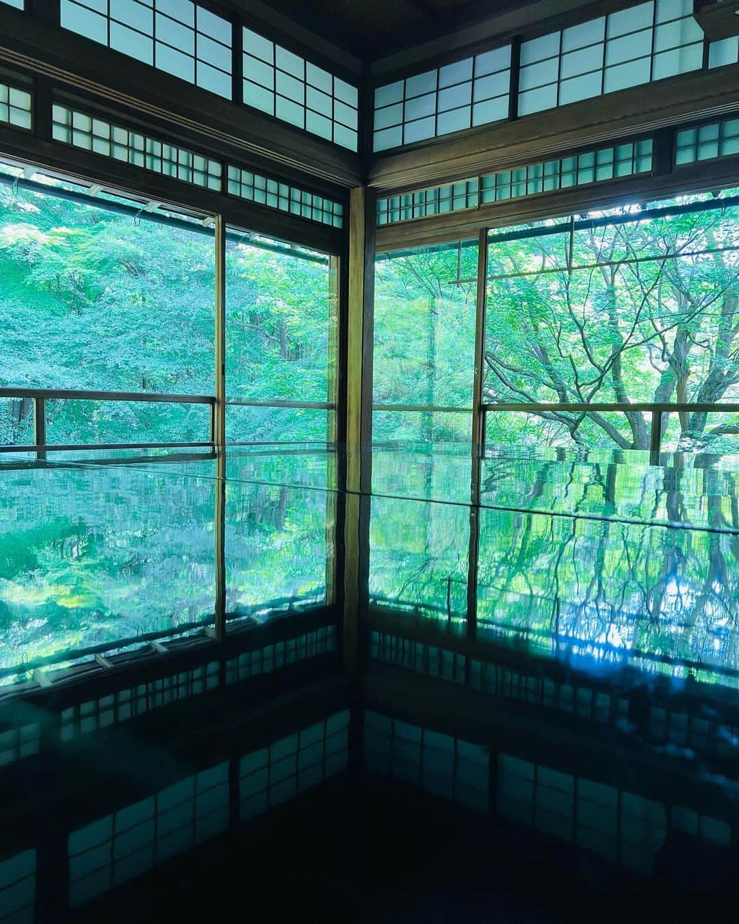 愛川みれいさんのインスタグラム写真 - (愛川みれいInstagram)「瑠璃光院 in 京都🍃  お抹茶も頂いたよ🍵✨  見渡す限り美しい世界で ずっと見ていたかった🌿  次は紅葉の時期🍁に訪れたいな😌🫶  #京都#京都観光#瑠璃光院#お抹茶 #日本の風景#伝統文化#愛川みれい」6月18日 19時06分 - mirei.aikawa