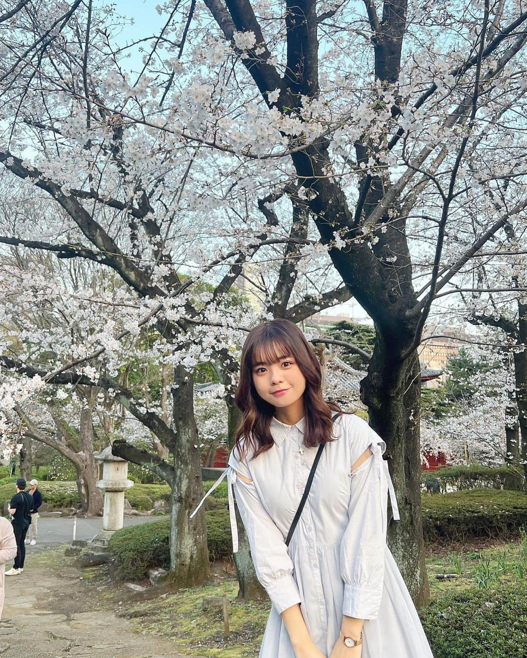 宮里莉羅のインスタグラム：「2023年の桜🌸 もう夏がやって来てるねえ( •̅_•̅ )  #桜#桜ピンク#桜スポット#芝公園#ティティーアンドコー#ワンピースコーデ #02년생 #follow#followme#f4f#likeforlike#follow4follow#fyp#instagood#japanesegirl#instalike#selfie#ootd」