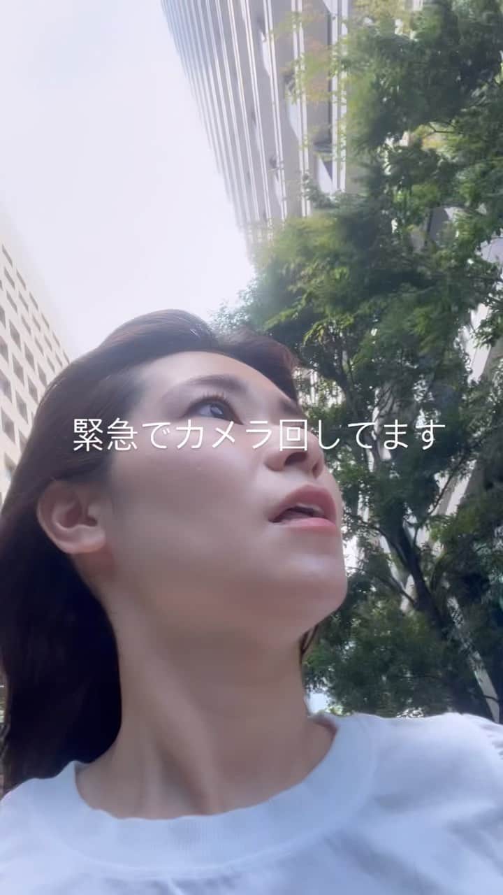 吉田奈央のインスタグラム：「一人で動画撮影📷  よくみる緊急動画を撮りたくて😳笑  人に見られながらも動画クリエイターとして カメラ回しました。 側からみたらやばい奴だな〜  #動画#動画撮影#動画クリエイター#緊急動画#緊急でカメラ回しております」