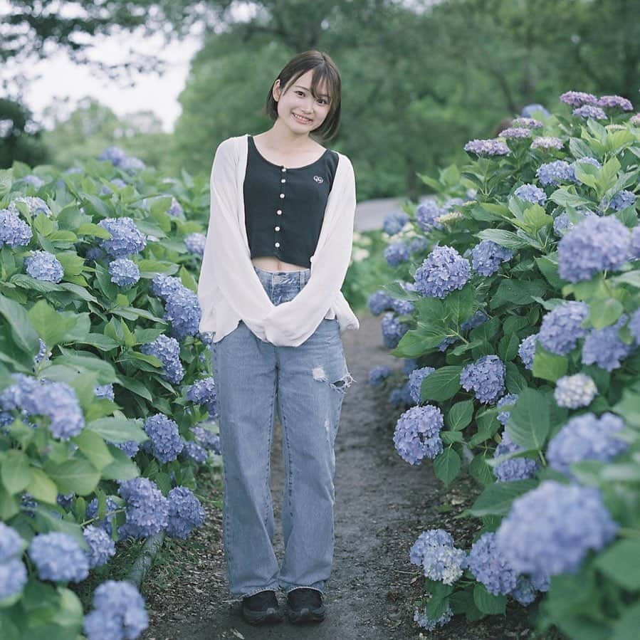 山中日菜美さんのインスタグラム写真 - (山中日菜美Instagram)「. #紫陽花  紫陽花をみにいくのは初めて。 たくさんの#アジサイ 楽しんできました☺️  #陸上#陸上競技#陸上女子#アスリート#スポーツ#スプリント#被写体#被写体モデル#ポートレート#滋賀県#紫陽花#紫陽花ポートレート #紫陽花の季節 #6月#もりやま芦刈園 #portrait#photo#followme#like4like#f4f#instagood#photography#photo#photooftheday」6月18日 19時49分 - hnm__n