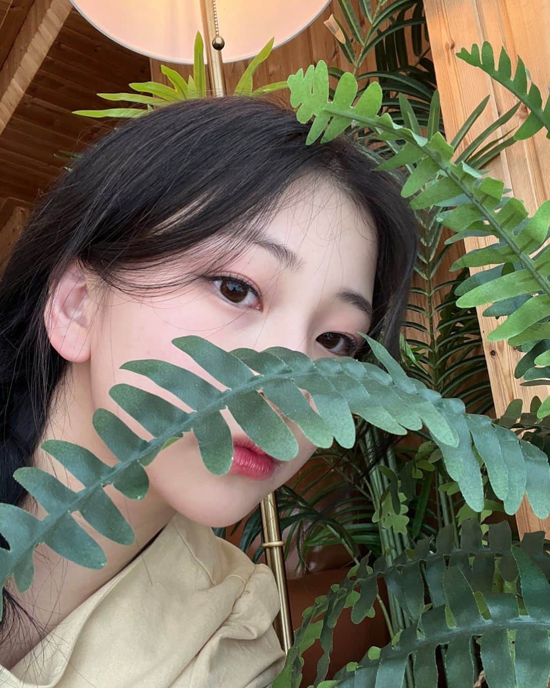 のインスタグラム：「🌿」