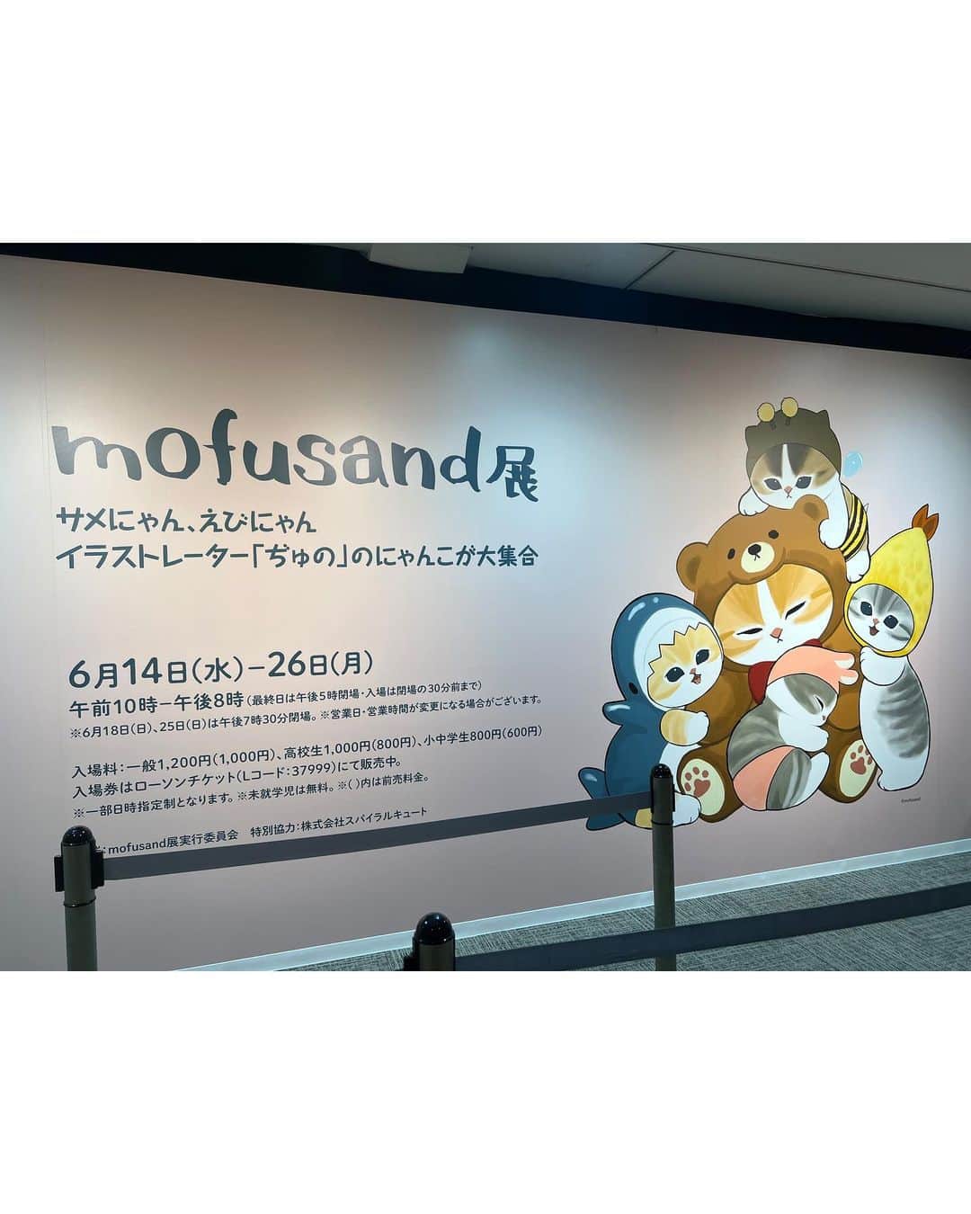 三上紗也可のインスタグラム：「mofusand展🧸🎀❤︎.*  #mofusand  #モフサンド」