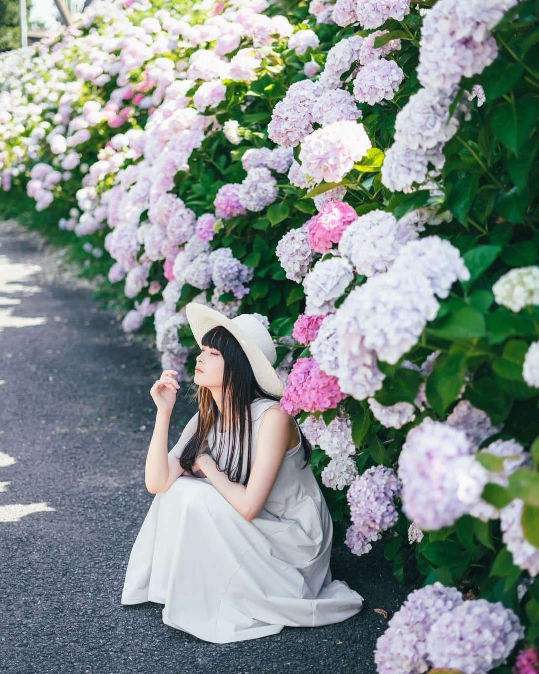 Yuma Takatsukiさんのインスタグラム写真 - (Yuma TakatsukiInstagram)「. . . hydrangea . . . . . . 紫陽花もりもりでした。 久しぶりにこういう撮影できて 楽しい時間でしたとさ。 ⁡ でも昼間の撮影は暑すぎて もうきつくなってきた… ⁡ それでは今日もお疲れさまでした！ . Japan X-T5／XF56mmF1.2 WR,XF33mmF1.4 WR . -----------------------------------------  ITTOKO写真展『ほな、いっとこ！』 vol.4 　　　　　　　　　　　　　　　〜FIND〜  会期 : 2023.06.28(水)〜07.03(月) 時間 : 12:00〜20:00 　　　(初日は14:00~,最終日は18:00迄) 場所 : イロリムラ 2F 〒 530-0016 大阪府大阪市北区中崎1丁目4番15号  ----------------------------------------- . #fujifilm  #fujifilm_xseries  #富士フイルム  . ―――――――――――――――――――――――――― 関西を中心にフリーランスで活動しています。 Web広告、個人撮影、家族撮影、PR撮影など、 6月以降の撮影依頼募集中です。 ⁡ ⁡Yuma Takatsukiオリジナルプリセットも販売中です。 ⁡プロフィールのポートフォリオサイトからご覧下さい。  またフォトサークルITTOKOという活動をしています。 ⁡ハイライトに色んなイベントをまとめています。 ――――――――――――――――――――――――――」6月18日 20時37分 - yu_umaa06