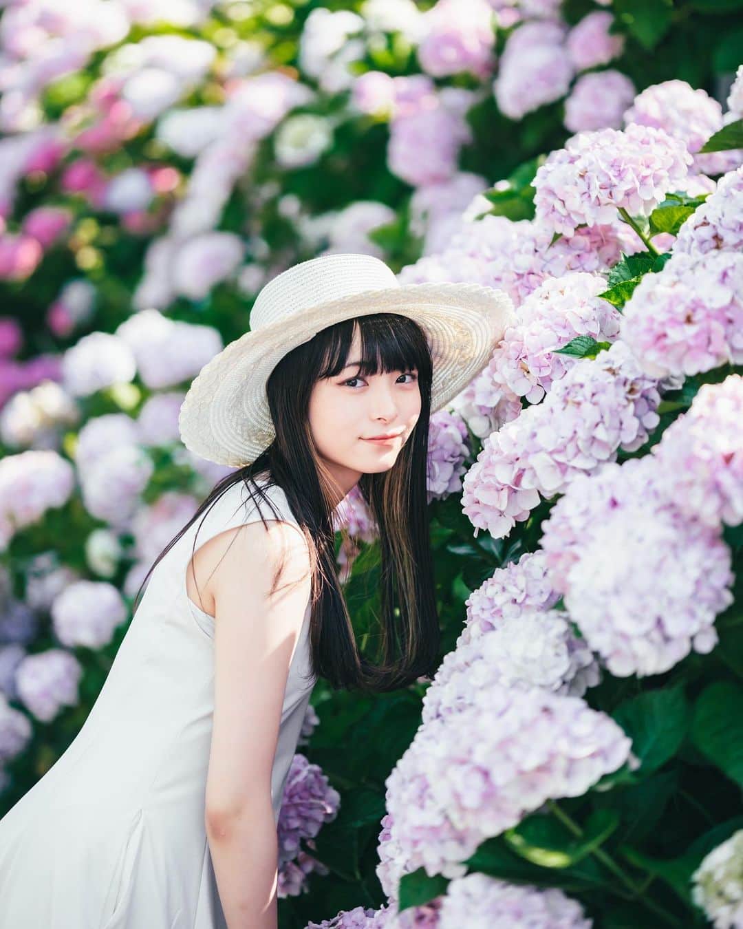 Yuma Takatsukiのインスタグラム：「. . . hydrangea . . . . . . 紫陽花もりもりでした。 久しぶりにこういう撮影できて 楽しい時間でしたとさ。 ⁡ でも昼間の撮影は暑すぎて もうきつくなってきた… ⁡ それでは今日もお疲れさまでした！ . Japan X-T5／XF56mmF1.2 WR,XF33mmF1.4 WR . -----------------------------------------  ITTOKO写真展『ほな、いっとこ！』 vol.4 　　　　　　　　　　　　　　　〜FIND〜  会期 : 2023.06.28(水)〜07.03(月) 時間 : 12:00〜20:00 　　　(初日は14:00~,最終日は18:00迄) 場所 : イロリムラ 2F 〒 530-0016 大阪府大阪市北区中崎1丁目4番15号  ----------------------------------------- . #fujifilm  #fujifilm_xseries  #富士フイルム  . ―――――――――――――――――――――――――― 関西を中心にフリーランスで活動しています。 Web広告、個人撮影、家族撮影、PR撮影など、 6月以降の撮影依頼募集中です。 ⁡ ⁡Yuma Takatsukiオリジナルプリセットも販売中です。 ⁡プロフィールのポートフォリオサイトからご覧下さい。  またフォトサークルITTOKOという活動をしています。 ⁡ハイライトに色んなイベントをまとめています。 ――――――――――――――――――――――――――」