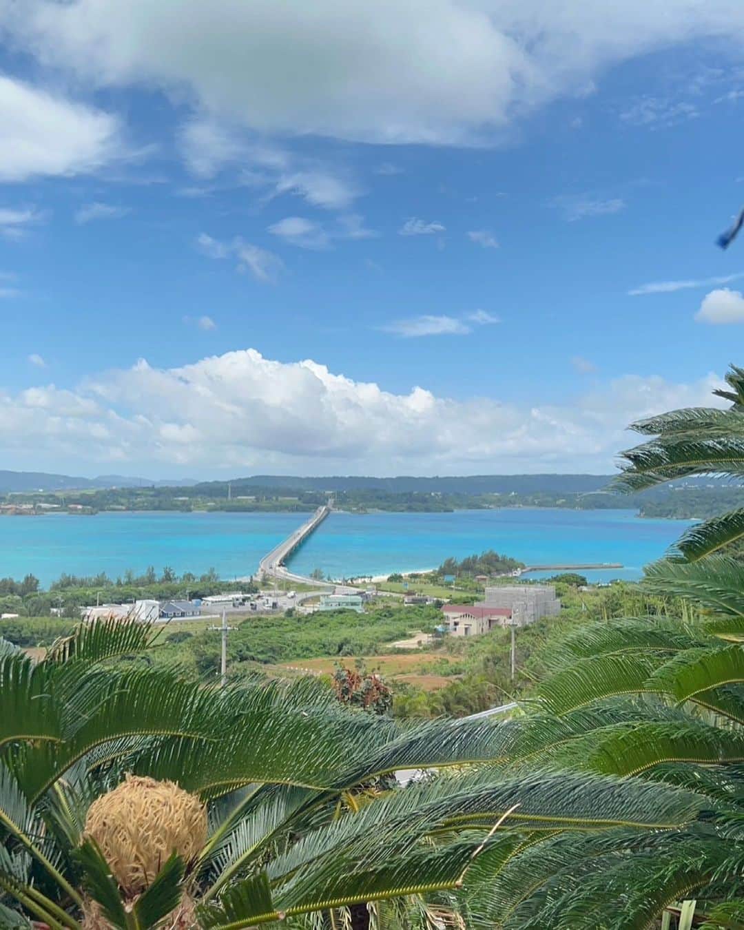 のインスタグラム：「🏖🎐🩵🫧𓂃 𓈒𓏸🌺」