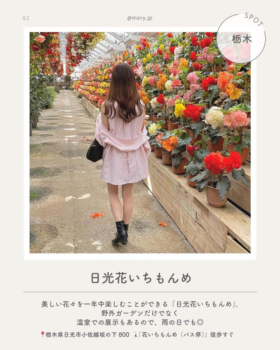 MERYさんのインスタグラム写真 - (MERYInstagram)「梅雨もごきげんにおでかけ🌂【全国】雨の日でも楽しめるスポット  じめっとした雨の日が続いていますね☁こんな日はあえておうちでのんびり過ごすのもいいけど、雨でも楽しめるスポットはたくさんあるんです💠🤍 今回は雨の日でも楽しめる、全国のおでかけスポットをご紹介！梅雨でもごきげんにおでかけしましょ🐬  ♡｜雨の日でも楽しめるスポット #鶴岡市立加茂水族館 （ @kamoaquarium ｜山形） #日光花いちもんめ （ @nikko_hanaichimonme_flowers ｜栃木） #めんたいパーク群馬 （@mentaipark_gunma ｜群馬） #大慶園 （千葉） #サンシャイン水族館（ @sunshine_aquarium ｜東京） #箱根小涌園ユネッサン（ @yunessun_hakone ｜神奈川） #チームラボボタニカルガーデン大阪 （ @teamlab.planets ｜大阪） #カップヌードルミュージアム大阪池田 （ @cupnoodle_jp ｜大阪）  photo by @narumiiiiiiin @__saa.42__ @yuki_e77 @8818su_yuna @aimi.128 @rena.__.rena @__1_999__  MERYでは他にも「かわいい」に近づけるさまざまな情報を発信しています。⁣ @mery.beauty コスメ・美容に特化した情報をお届け♡ @mery_giftsalon 選りすぐりのギフトを提案🎁 こちらもぜひチェックしてみてください！⁣  #梅雨 #雨の日 #雨の日デート #雨の日の過ごし方 #デートスポット #お出かけスポット #おでかけスポット #山形観光 #栃木観光 #日光観光 #群馬観光 #千葉観光 #東京観光 #神奈川観光 #箱根観光 #大阪観光 #めんたいパーク #ユネッサン #チームラボ #カップヌードルミュージアム #水族館」6月18日 21時00分 - mery.jp