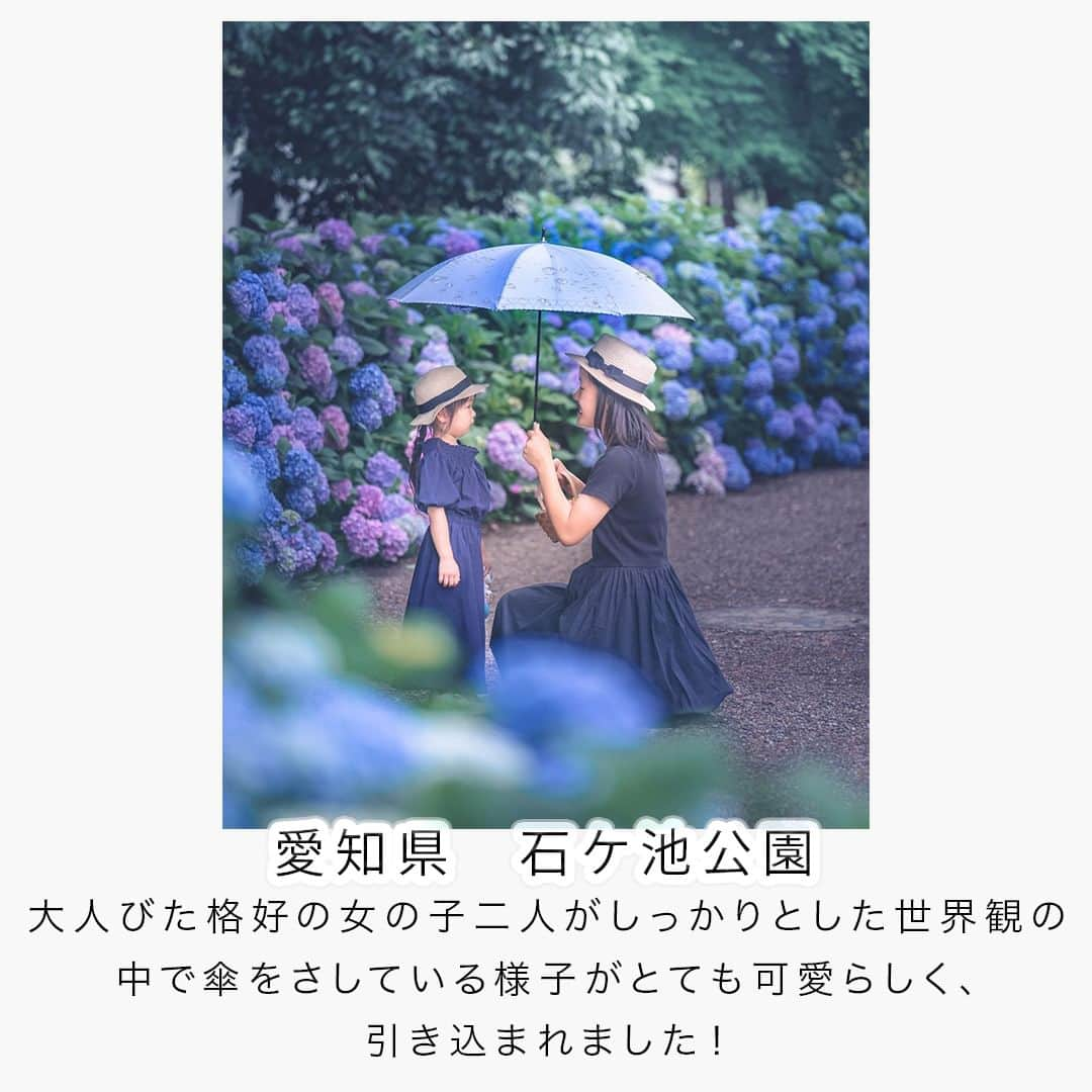 フォトリ Magazineさんのインスタグラム写真 - (フォトリ MagazineInstagram)「【紫陽花の季節素敵な写真紹介！】  6月は梅雨ですが、雨こそ映えるお花があります！紫陽花です✨ 今回は紫陽花の素敵なお写真をご紹介！  「参考になった！」と思った方は、いいね♡を押してい ただけると嬉しいです😍 また、撮影で参考にするときのために投稿を保存してお くと便利です♪ . . . 素敵なお写真を投稿して下さいました皆様をご紹介👏 ①  @s.3102.g さん ②  @su_zu_ma_yu さん ③  @no_right_no_life さん ④ @nonchorin さん ⑤ @marinko_photo さん ⑥ @minorino.326 さん ⑦ @elly_fleur.22 さん 皆様、ありがとうございました💕 . . . 「何気ない日常の中で、元気をもらえる瞬間」が撮影で きたら #写真で明日をもっと楽しく のタグをつけて、お写真投稿 してね🙆‍♀️ 投稿してくださった方の中から、紹介させていただきま す✨  --------------------------* . 👩‍👩‍👧‍👧写真で明日をもっと楽しくするオンラインサロン「フ ォトリ大学」 人数限定のオンラインコミュニティです。みんなと繋がる 、写真が上達する、アットホームな場所です🙆‍♀️ . 💪カメラマン養成講座　フォトリ大学プロ 無料体験実施中！初心者からでも安心のパーソナルトレー ニングでぐんぐん上達 . 詳しくはURLから🙆‍♀️ --------------------------*.  #一眼レフ初心者 #カメラのある生活  #ファインダー越しの世界 #その瞬間に物語を  #何気ない瞬間を残したい #ig_japan #ママカメラ  #カメラ上手くなりたい #写真上手くなりたい  #ノスタルジーな瞬間を #カメラのある生活  #ポトレのセカイ #写真教室 #レタッチ練習中  #高校生カメラマン #photography  #写真撮ってる人と繋がりたいりたい #ポートレート写  #カメラガールズ真好 #children_jp #kids_japan  #写真加工 #こどものいる暮らし  #子どもの日常をもっと写真に  #写真好きな人と繋がりたい #紫陽花」6月18日 21時00分 - photream_college