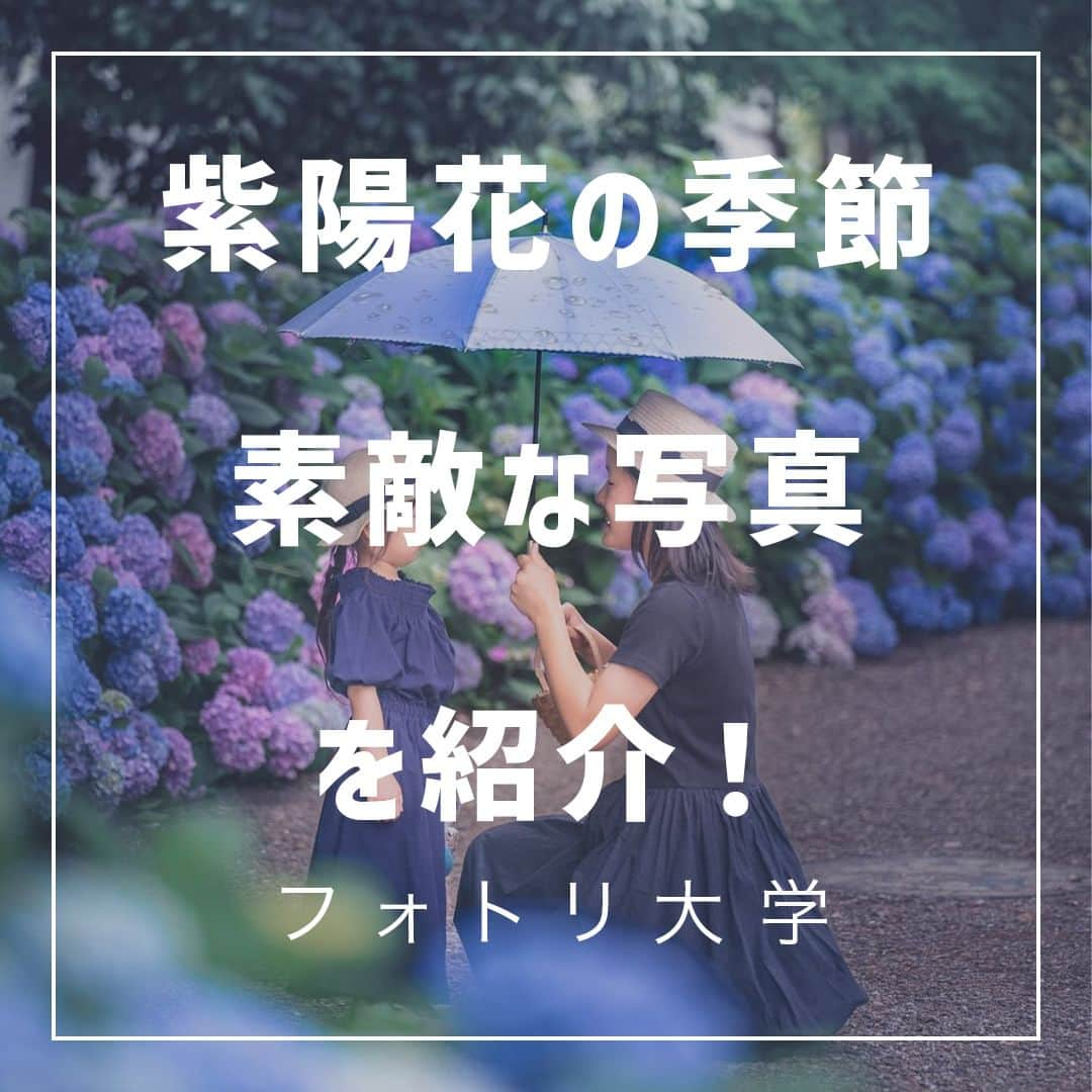 フォトリ Magazineのインスタグラム：「【紫陽花の季節素敵な写真紹介！】  6月は梅雨ですが、雨こそ映えるお花があります！紫陽花です✨ 今回は紫陽花の素敵なお写真をご紹介！  「参考になった！」と思った方は、いいね♡を押してい ただけると嬉しいです😍 また、撮影で参考にするときのために投稿を保存してお くと便利です♪ . . . 素敵なお写真を投稿して下さいました皆様をご紹介👏 ①  @s.3102.g さん ②  @su_zu_ma_yu さん ③  @no_right_no_life さん ④ @nonchorin さん ⑤ @marinko_photo さん ⑥ @minorino.326 さん ⑦ @elly_fleur.22 さん 皆様、ありがとうございました💕 . . . 「何気ない日常の中で、元気をもらえる瞬間」が撮影で きたら #写真で明日をもっと楽しく のタグをつけて、お写真投稿 してね🙆‍♀️ 投稿してくださった方の中から、紹介させていただきま す✨  --------------------------* . 👩‍👩‍👧‍👧写真で明日をもっと楽しくするオンラインサロン「フ ォトリ大学」 人数限定のオンラインコミュニティです。みんなと繋がる 、写真が上達する、アットホームな場所です🙆‍♀️ . 💪カメラマン養成講座　フォトリ大学プロ 無料体験実施中！初心者からでも安心のパーソナルトレー ニングでぐんぐん上達 . 詳しくはURLから🙆‍♀️ --------------------------*.  #一眼レフ初心者 #カメラのある生活  #ファインダー越しの世界 #その瞬間に物語を  #何気ない瞬間を残したい #ig_japan #ママカメラ  #カメラ上手くなりたい #写真上手くなりたい  #ノスタルジーな瞬間を #カメラのある生活  #ポトレのセカイ #写真教室 #レタッチ練習中  #高校生カメラマン #photography  #写真撮ってる人と繋がりたいりたい #ポートレート写  #カメラガールズ真好 #children_jp #kids_japan  #写真加工 #こどものいる暮らし  #子どもの日常をもっと写真に  #写真好きな人と繋がりたい #紫陽花」