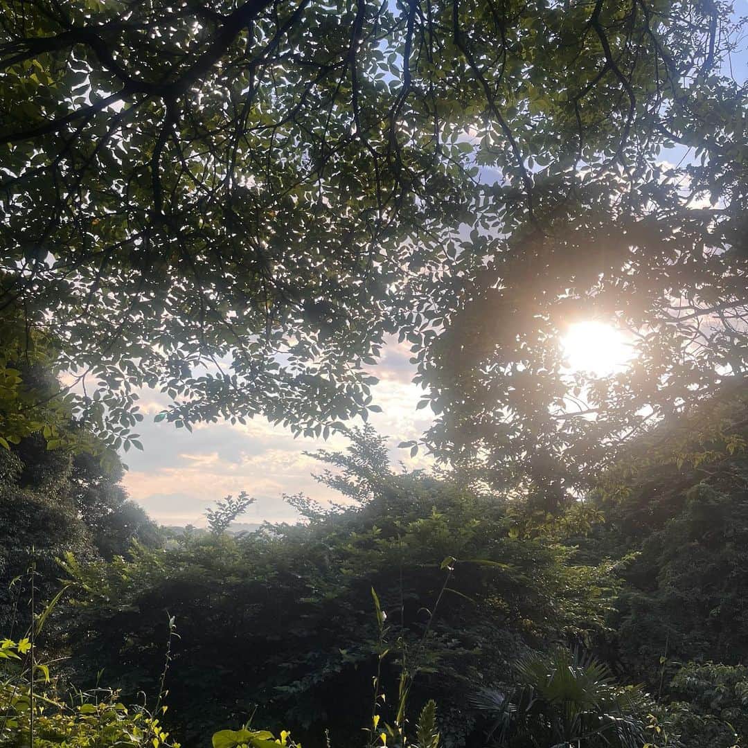 クリス智子さんのインスタグラム写真 - (クリス智子Instagram)「梅雨の週末に、 思いのほか、夏みたいな 空に空。  一瞬でも、 遠くに視線と気持ちをやるのは大事。 そのあとしばらく、心をあたためる残像。」6月18日 21時09分 - chris_tomoko