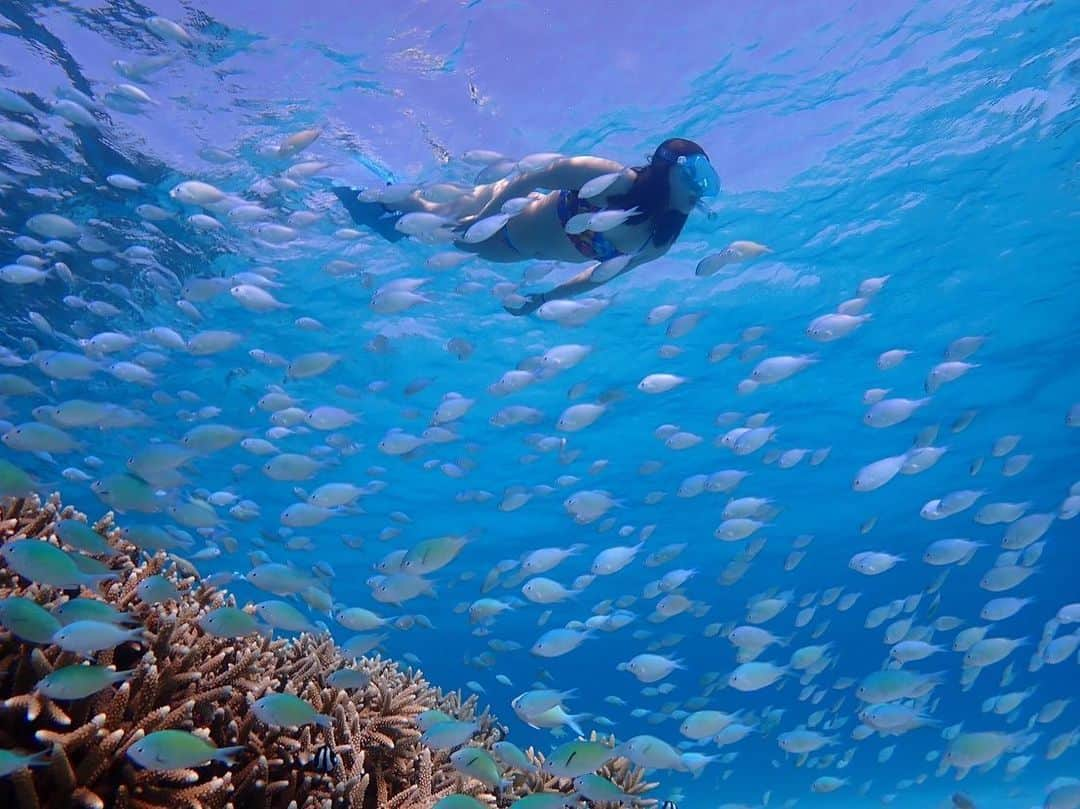 髙津奈々さんのインスタグラム写真 - (髙津奈々Instagram)「気分はアリエル🧜‍♀️  魚多すぎて見えない🐠💭    #funkitajp #ファンキタ　@funkita.jp」6月18日 21時23分 - nanatakatsu