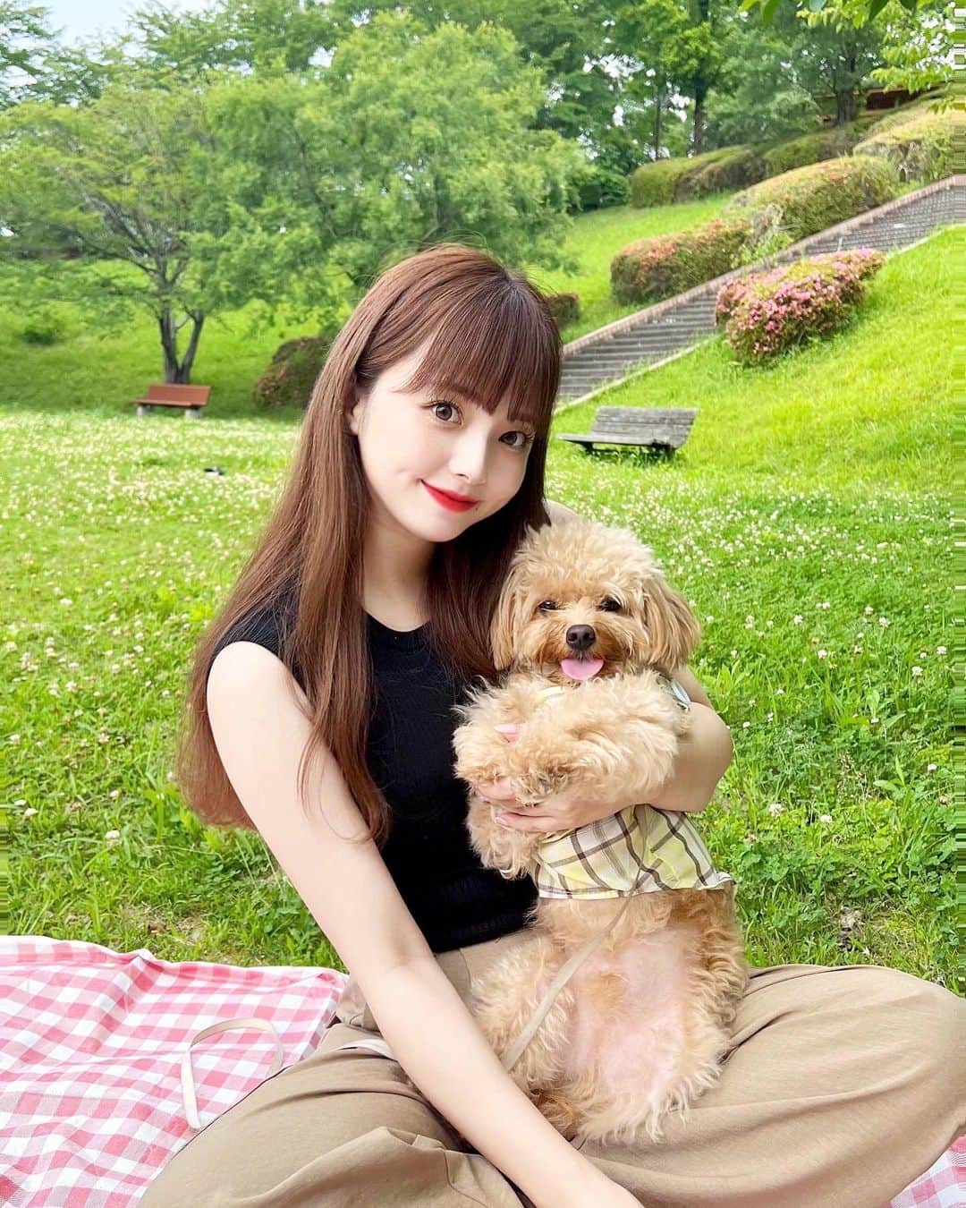 横山紗弓のインスタグラム：「お弁当作ってpicnic🍙🌿 暑かったけど いい気分転換に☺︎  カラコンは、大好きな三上悠亜様の🫶 Majestic Brownを選びました。 ちゅるんと発色でしっかり盛れる！ お気に入りになりそうです✨ @colorcon_plus  #Majette #PR #マジェット #カラコンプラス #カラコンレビュー  #カラコン着画 #カラコン #瞳に纏うドレス」
