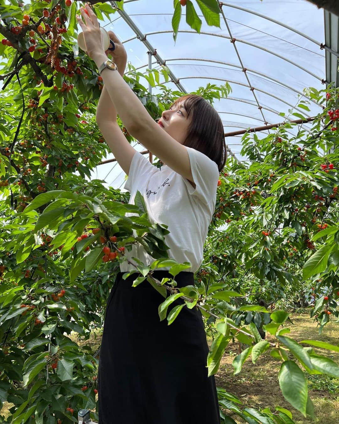 小室ゆらさんのインスタグラム写真 - (小室ゆらInstagram)「🍒 ⁡ ⁡ さくらんぼ狩り！！ 群馬で佐藤錦が狩れるということで行ってきましたよん ⁡ 美味しかった〜！30個ほど食べました✌🏻 ⁡ 長時間メガネで運転したので鼻に痕がついてるの🫢笑 ⁡ ⁡ 今日は父の日👨🏻‍🦰 私もばっちり日頃の感謝を伝えました〜 ⁡ ⁡ .」6月18日 21時33分 - komuro_yura_official