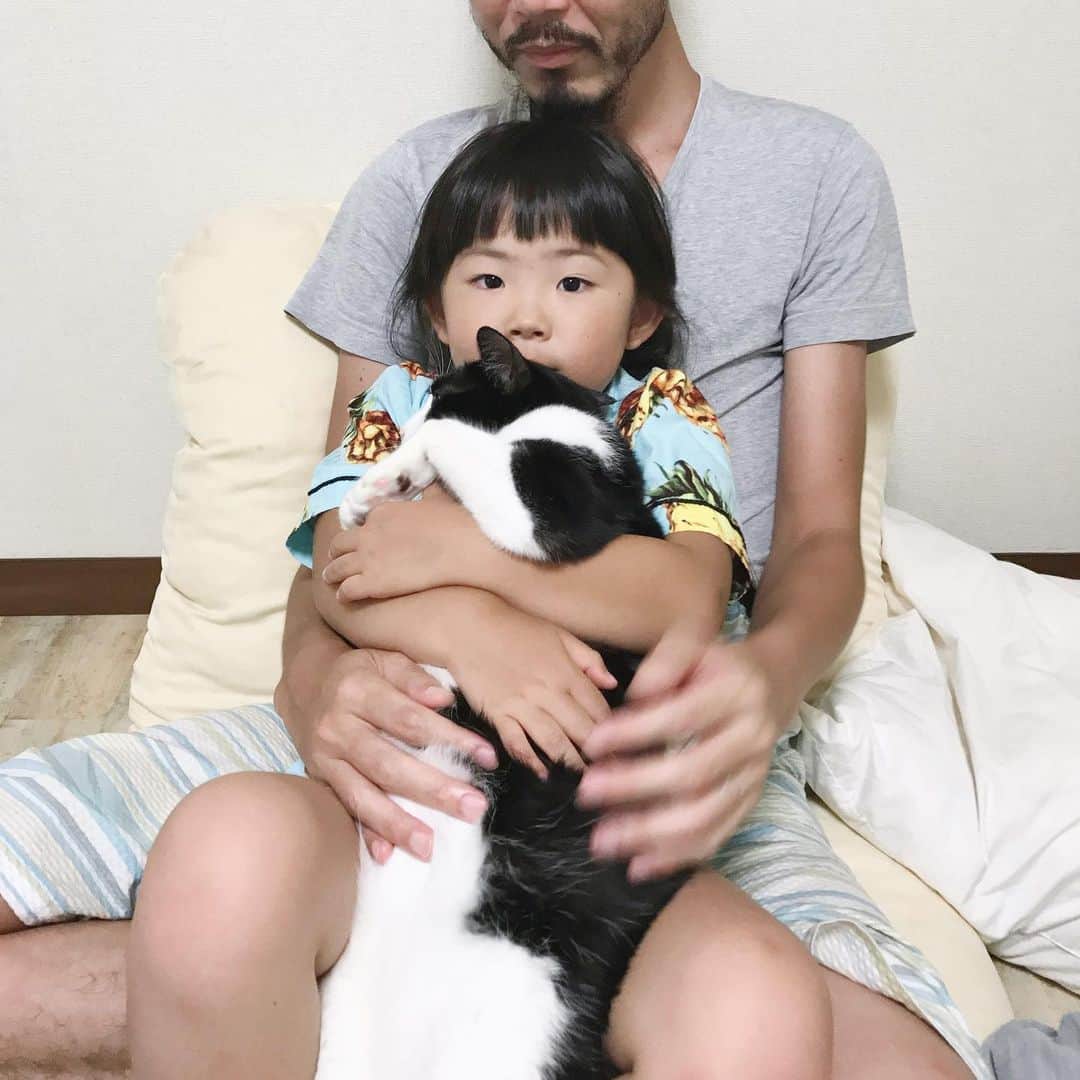 korokoronyaのインスタグラム：「✣*∗ 18 Jun, 2023  Happy father’s day👨🏻 #pastpic * ちびっ子ちびマメとゴマぷぅと👨🏻 (てか違う日の過去写真だけど👨🏻のTシャツ全部同じ…😓) #父の日 * こないだ学校面談がありまして。担任が持ち上がりで去年と同じ先生なのですが、「今年もちびマメさんにはこちらから特にお伝えするようなことはありません。」て。「真面目で、勉強も分からないところがあれば頑張って諦めずに取り組んでる」「え😮ほんとですか？🫨家だと究極のめんどくさがり屋で諦めもピカイチに早いっすけど…😅」「去年もそう言われてましたよね、家だと全然違うって😂ちびマメさんは、今自分がここは分かってる、これは理解できてない、とか客観的に見れて分かってる」って… #ウソだろ #褒めすぎでは …家とのギャップがあり過ぎて信じられん…w 強いてひとつ気になったというか言いたいことは、と言われたネタが「ちびマメさんはアニメとか漫画でグロイものとか好きだったりしますか？」って。確かに…恋愛系とか全然興味なくて「呪術廻戦とかダーク寄りなモノが好きですねぇ🤔」「あ〜ですよね。理科の授業で内視鏡カメラの映像(内臓の)見た時、うわーって苦手な子とか居たんですけど、もっとこい😆って感じで、周りの子からちびマメちゃんこんな子だったの(￣□￣;)!!ってビックリされてた」って…www「え！自分がケガした時とかめっちゃ大騒ぎでもう大変ですけど😧絆創膏剥がすだけでも大泣きですけど😧血とか苦手なはずなのになぜw」 女子っぽくないから、この子がいいっていう女子特有の独占欲？みたいなのもなくて、分け隔てなく誰とでも仲良くして、ちびマメの周りでトラブルとか起きた事ないっていうし、勉強も頑張ってるなら、家でのあの感じはw認めてやらなきゃあかんな😉と思いつつ。やっぱりイラっとしてしまう母です。でもちゃんと褒めて、信頼もしてあげなきゃね😉姉さん、来年は中学生ですぞ…。 * #ごまとちびまめ」