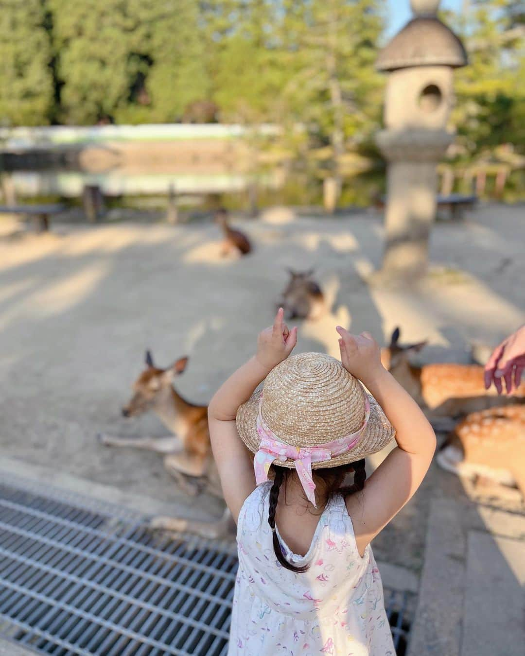 Remiさんのインスタグラム写真 - (RemiInstagram)「family trip to ancient Nara🦌🏯 いよいよ引っ越しまであと1週間を切りました。 連日の準備作業に疲れ果てたところ、 「そうだ、奈良へ行こう」と急遽決まった旅🚅 まずは東大寺で大仏様を拝んで鹿さんと交流🦌🤎 ザ・奈良観光の後はお目当てのホテステイを満喫したのでそれはまた次で🥂良い気分転換になりました🌿  そして今日は父の日👨🏻💐 子供たちにとって最高の父親でいてくれてありがとう🙏🏼  唯一の夫婦shotを最後に。 それにしても自撮り棒の使い方が下手すぎる🤳笑  #奈良観光  #東大寺大仏殿  #子連れ旅行 #旅育」6月18日 21時48分 - remi_912