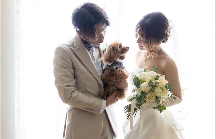 アートグレイスウエディングコースト大阪さんのインスタグラム写真 - (アートグレイスウエディングコースト大阪Instagram)「・ ・ ・ アートグレイスウエディングコーストだからこそ実現できる . dog wedding 🐶 ・ ・ 愛犬は、家族でありお二人のステキな笑顔を よりたくさん引き出してくれます🫢 ・ 愛犬と一緒に結婚式を過ごしませんか？？🫶 ・  ▼ブライダルフェアのご予約はTOPページURL もしくはDMより、ベストレート保証でご案内いたします . @art_grace_wedding_coast   ・ #ペットウェディング#リングドッグ #リングドッグが出来る結婚式場 #大阪結婚式場見学 #アートグレイスウエディングコースト #アートグレイスウエディングコースト大阪 #大阪市結婚式場 #ペットウェディング」6月18日 22時02分 - art_grace_wedding_coast