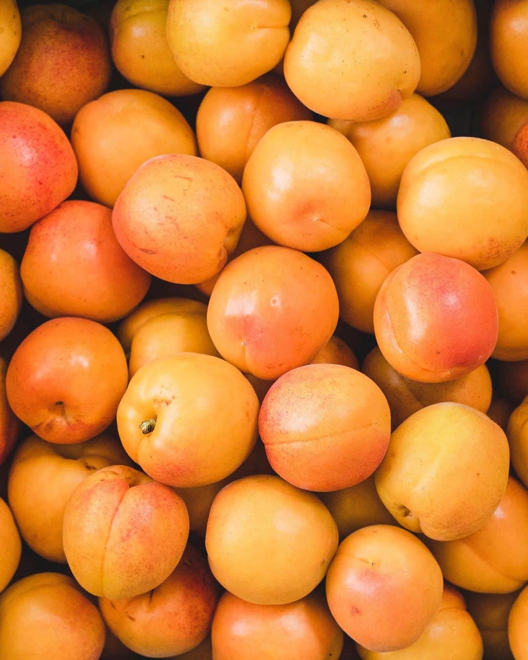 増田由希子さんのインスタグラム写真 - (増田由希子Instagram)「Apricot season is here!🧡 #apricot  楽しみにしていた杏が届きました。 箱を開けた瞬間から、フレッシュな香りが広がります✨」6月18日 22時07分 - nonihana_