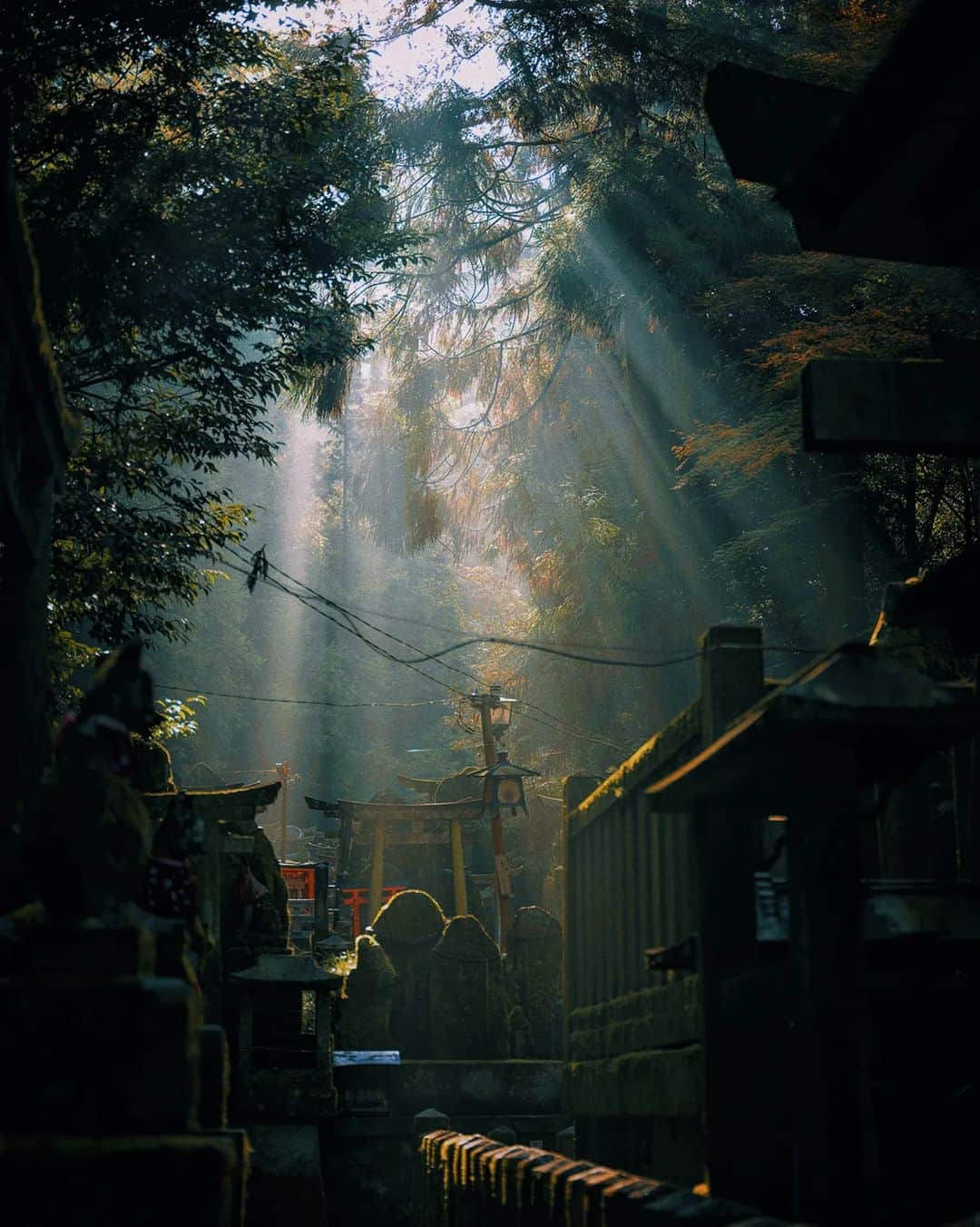 Berlin Tokyoさんのインスタグラム写真 - (Berlin TokyoInstagram)「A misty morning, showers of God's light fell. . On a foggy Kyoto morning, the sun suddenly shone divinely and I felt a warm force. . Check my reels for the video. . . #hellofrom Kyoto #japan」6月18日 22時08分 - tokio_kid