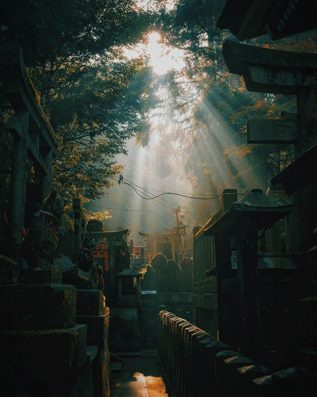 Berlin Tokyoさんのインスタグラム写真 - (Berlin TokyoInstagram)「A misty morning, showers of God's light fell. . On a foggy Kyoto morning, the sun suddenly shone divinely and I felt a warm force. . Check my reels for the video. . . #hellofrom Kyoto #japan」6月18日 22時08分 - tokio_kid