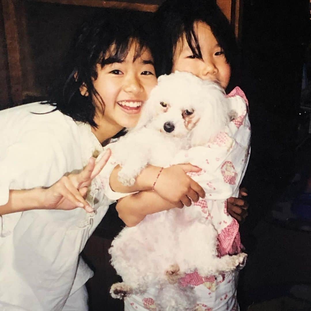 のインスタグラム：「父の日に私の父の話を  私が小学生の時に突如家にやってきたモカ🐶かわいいマルチーズが商店街を歩いていたところを保護して期限までに飼い主さんからの連絡がなく保健所行きが決定したので私達家族が迎え入れる事になったモカ🐶  モカが家に来てから5年ほど経った頃、送り迎えをしてくれるトリミングサロンに父が初めて予約をしてモカは元気よくトリミングへ。  そして何時間かして家に帰ってきたモカ。  玄関から喜んで走って帰ってきたモカをみた家族は唖然。  父が一言。「この子はモカじゃないーーーー😡」  マルチーズなのに完全なるプードルカットをされていたのです🐩  今でも忘れられないモカのプードルカット笑  父のモカへのこだわりがすごく、プードルカットが許せなかったのか、スタッフの方にうちの子はマルチーズなんです😭と伝えるとまさかのカット代を無料にしてくださいました笑  そんな父のモカへのこだわりは他にも。  1ヶ月に一度モカと走りの競争をするという謎の儀式がありました。  父がストップウォッチを測ってくれるのですがモカの走りが早くて私たちはいつも負けていたのです。  ある日父が「今日はお父さんも走ってみるわ！」とストップウォッチを私に渡してきたのです。  兄妹みんなでおぉー！！！😳と、ワクワクドキドキ。 ヨーイドン！の掛け声と共に 今まで見た事ないぐらい本気ではしっている父を見て私達はモカに勝てる！と思っていました！  25m先の壁にタッチした後、私達の方にもどってくるコースで走っていた父とモカ！！  あと1メートル‼️というところで  おっとっとっとっ、、、  父、大転倒。  目の前で転けている父を見て大爆笑。  はははははははははははと笑っていたら  父が一言  「早くストップウォッチとめろー‼️‼️💢」  子供ながらに「え。うそやろ」と引いたのを今でも鮮明に覚えています。  意味がわからないところでスイッチが入るのは今も変わりませんが笑  これからも伝説をたくさん残してほしいです。😂  お父さんいつもありがとう‼️‼️ せんべいにも会いにきてな😂  #父の日#父#私の父は最強です」