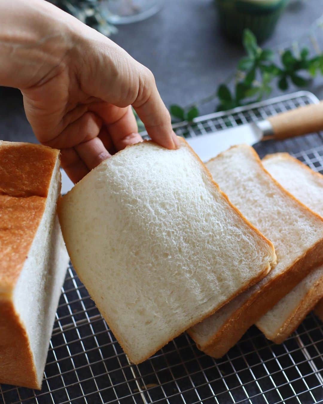 maiのインスタグラム：「2023年6月18日  🎶あすもやわらの角食パン🎶  前回は、生地量少なめで 最終発酵頑張って伸びた フワンフワン極柔食パンでした。  今回は生地量増やして 型比容積4で。 ずっと以前プルマンは 3.8ー3.9で焼いていたので これでも充分軽め。  計算すると前回はなんと 4.4だったみたい😂  よくもまぁボウズにならず 型の天井まで生地が行き渡って しかもカクカクに なったもんだ、  この粉、 ガス保持して伸びる 生地の伸展性にも驚くわ😅  焼いたパンは 生食パンのお店のみたいに 何日も柔らかい。  生クリームやマーガリンを 必要としないので むしろより良いな。  次は全粒粉入れて焼きたいな (1kgしか買わなかったから もうないんだけど、とりあえず リピ買いします)。  #あすもやわら #パン作り #自家製パン #コッタ #サフ #お菓子教室 #ミルガトー」
