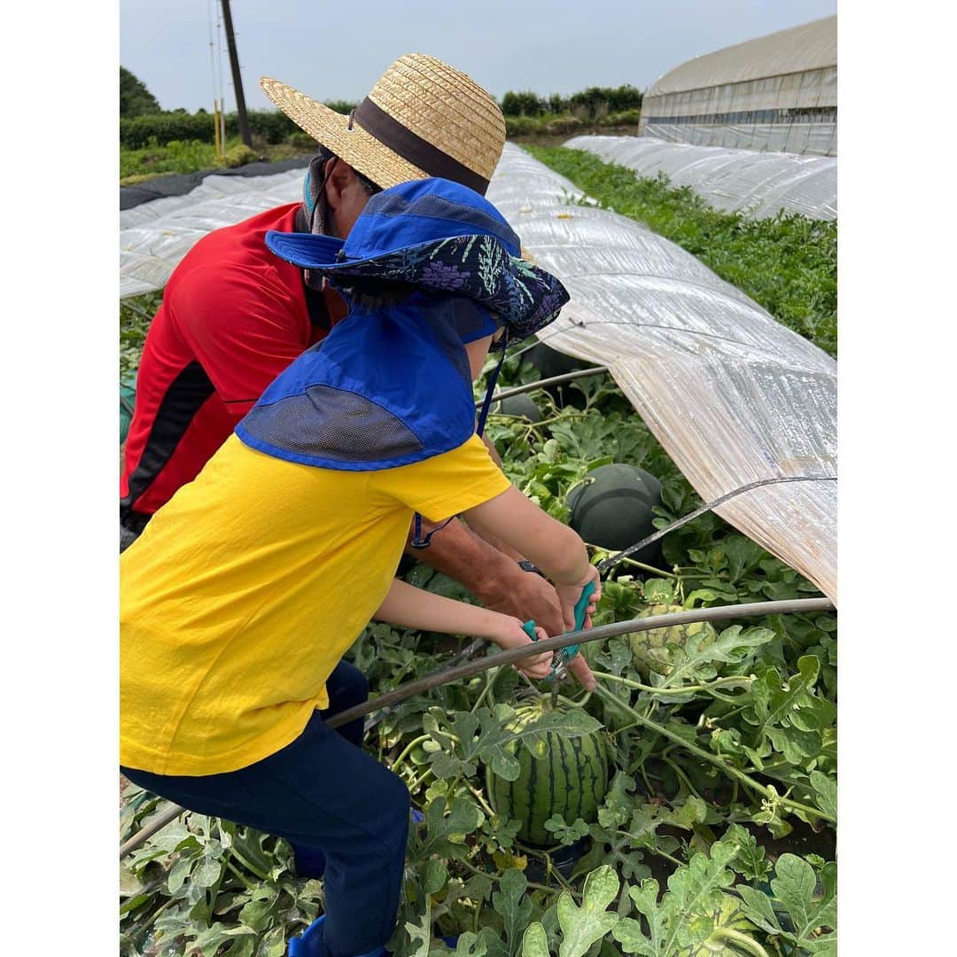 森麻季さんのインスタグラム写真 - (森麻季Instagram)「父の日  前回投稿が母の日 1ヶ月が早すぎます 元気です  今日はプール日和 午前中畑に行き午後はプール 今日も子ども中心の一日、 あっという間の日々です  #父の日  #いつもありがとう  #5歳 #年中 #1歳4ヶ月  #次男たくましく育ってます  #更新頑張りたい」6月18日 22時39分 - maki.mori_m