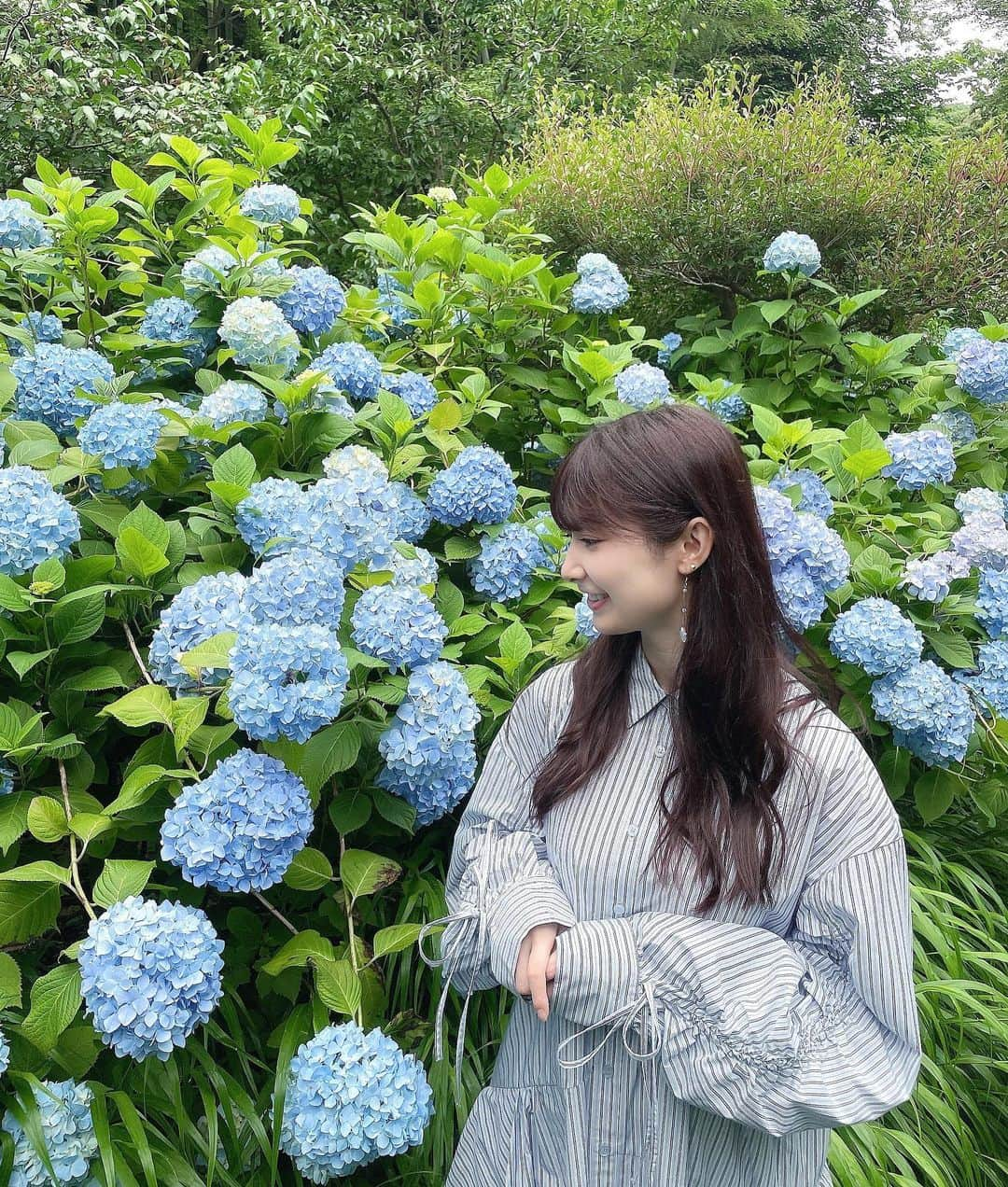 武藤十夢さんのインスタグラム写真 - (武藤十夢Instagram)「紫陽花綺麗だったな💠 . . 紫陽花 #6月 #梅雨 #blue」6月18日 23時30分 - tommuto_official