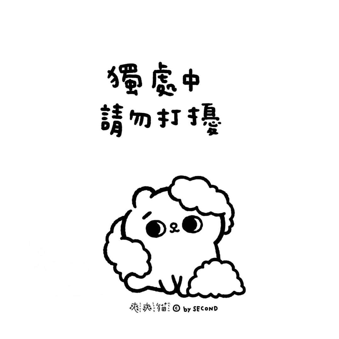 爽爽貓 by SECONDのインスタグラム：「#獨處  可以冥想 可以散步 可以放空  可以什麼事都沒做 但不代表這是不重要的事  留點時間給自己 有時沒在做什麼的時間  是讓自己回到自己的重要時間  #爽爽貓 #SONGSONGMEOW #ソウソウネコ #bySECOND #wuchengan」