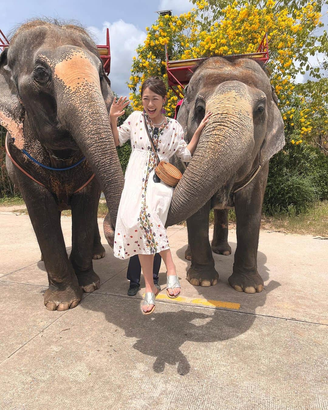 桜 稲垣早希のインスタグラム：「シラチャにあるSiri Park & Zoo という動物園に行ってきました😊コンパクトな大きさなのに象にも乗れてご飯もあげれてライオンの赤ちゃんと写真も撮れてワニも大量にいてものすごかったです。 入場料大人1人100THBなのに100THB分のクーポン券が付いて来て実質無料なのも嬉しかった☺️ 足りない分は中で支払って好きに遊べるのもいいですね。 息子念願の象に乗る事が出来て大満足でした😊 結構揺れて、シートベルトもないので私は息子が落ちないように必死で抑えててヒヤヒヤしてたのですが、息子は『全然怖くないお』と余裕でした。 でも象から降りたあとはお気に入りのタオルをギュッと抱きしめていたのでたぶん強がっていたのだと思います😆  移住後バタバタで生活に追われててなかなか旅行も出来なかったので今回シラチャへ2泊3日で初旅行行けてよかったです。  これからもタイの楽しい場所にたくさん行きたいと思います😊 旅行の様子は動画になるのでぜひご覧ください！ #タイ移住 #りおなり夫婦のビログ旅 #シラチャ #桜稲垣早希 #りおなり #３歳男の子」