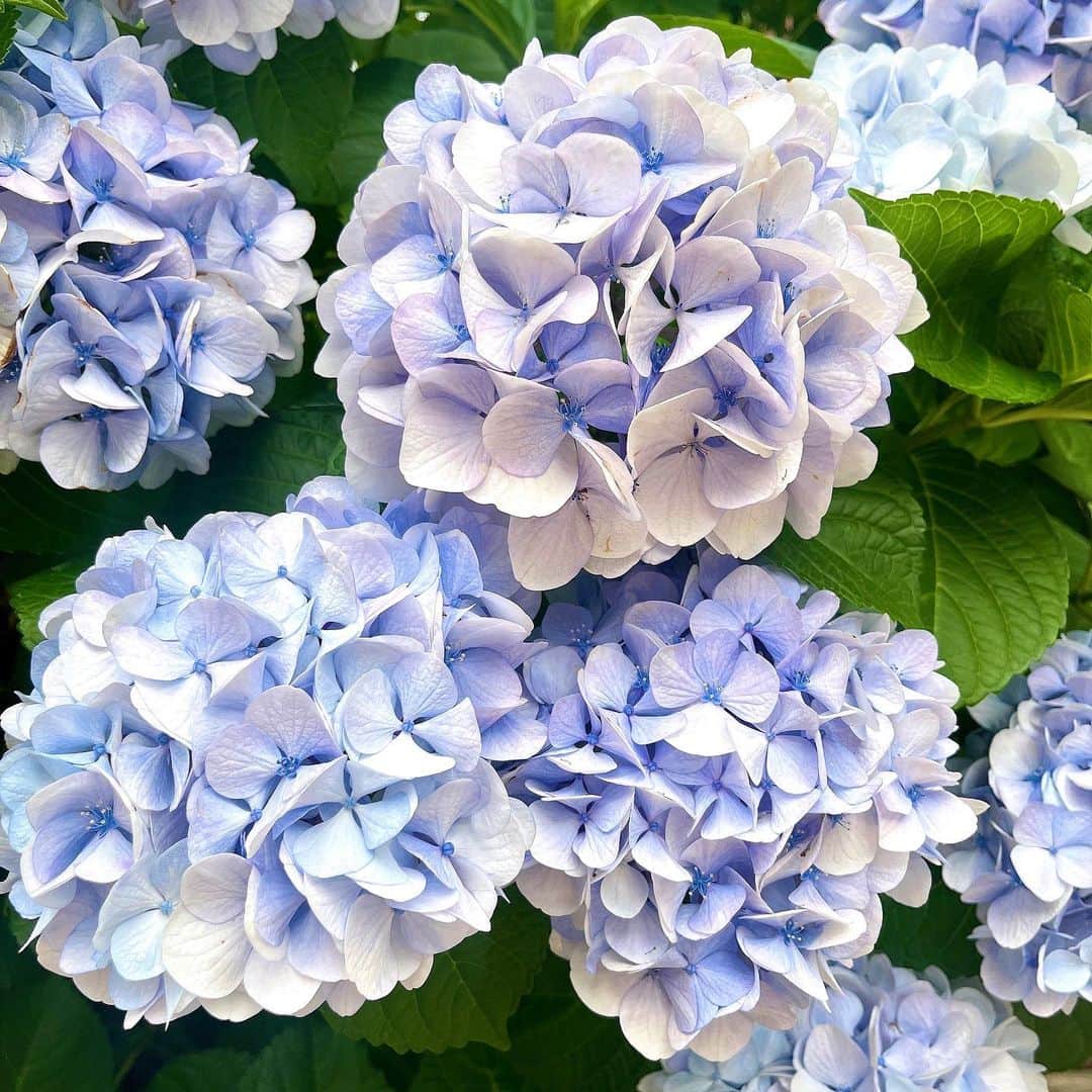 のインスタグラム：「♡ 【 🤍父の日 2023.06.18🤍 】 ⁡ ⁡ 💖大好きなパパ💖 いつも本当にありがとう🥰😍😘 感謝してるっっっ🍀🌸❤️🤍💓💕 ⁡ ✨全世界のお父さん✨ いつもありがとう💕😊💕 お疲れさまです🥰🙏💓 ⁡ ⁡ ♡ ♡ ♡ ⁡ ⁡ あなたとあなたの大切なひとたちが 笑顔で幸せでありますように…💖💖💖 ⁡ ⁡ ⇨ @tomomibeauty ⁡ ⁡ ⁡ ⁡ *♢ ♡ ＊ ♡ ✩ ♡ ♩ ♡・♡ ° ♡ ❁ ♡ ✩ ♡° ⑅◡̈*」