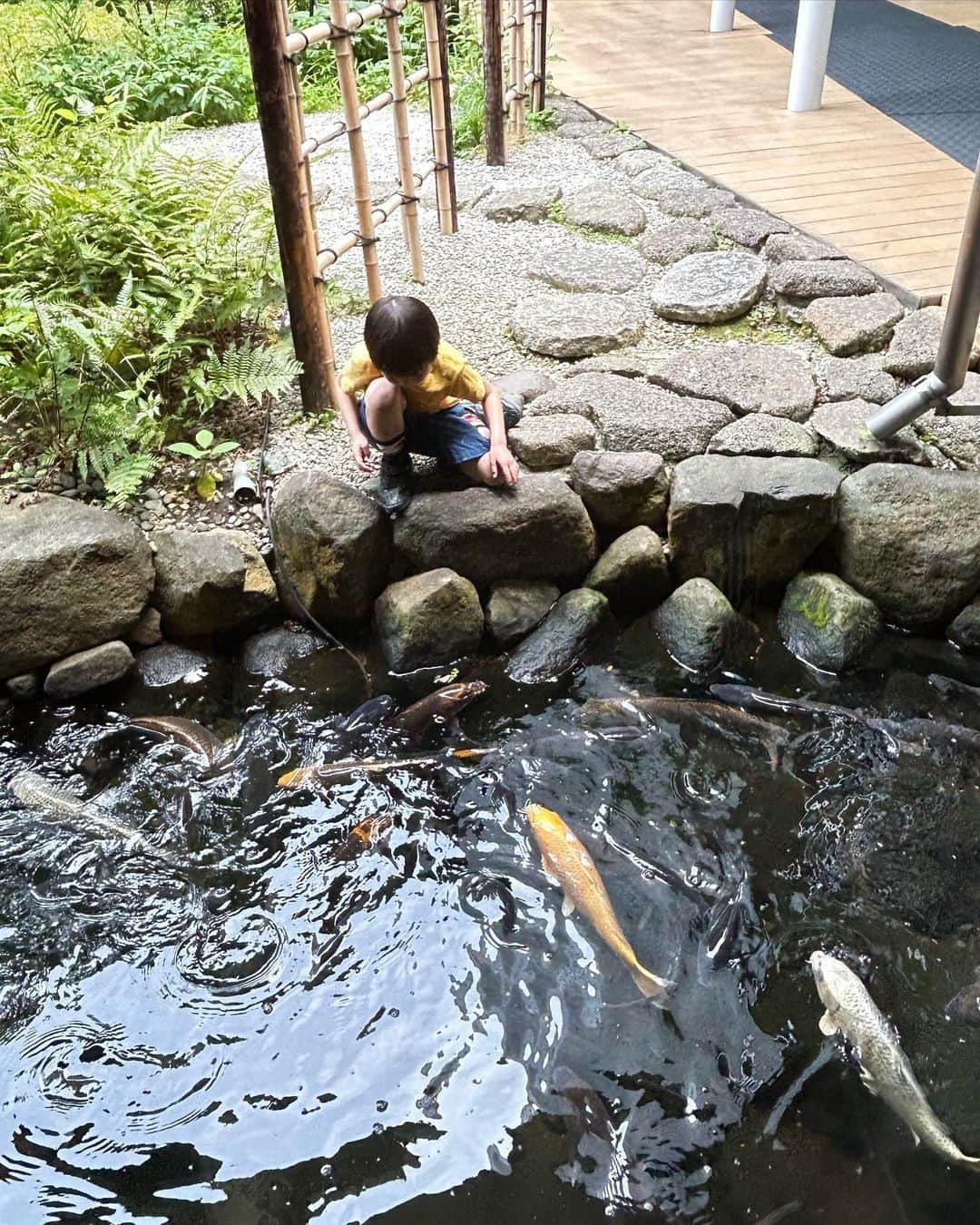 中岡由佳さんのインスタグラム写真 - (中岡由佳Instagram)「❇︎ Ryutoとふたりで雅叙園をお散歩。中庭の赤い野天傘（のだてがさ）の下で写真を撮ったり、鯉を眺めたりして小一時間楽しみました👀ゆっくりお茶でもいただきたかった☕️ #ホテル雅叙園東京 #hotelgajoentokyo」6月19日 0時37分 - yuka_nakaoka