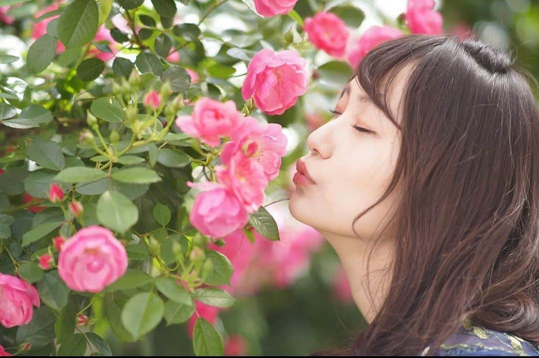 御寺ゆきさんのインスタグラム写真 - (御寺ゆきInstagram)「🌸🌸🌸 . #ポートレート #撮影 #お花 #椿 #写真好きな人と繋がりたい  #カメラ」6月19日 0時54分 - terashi1220