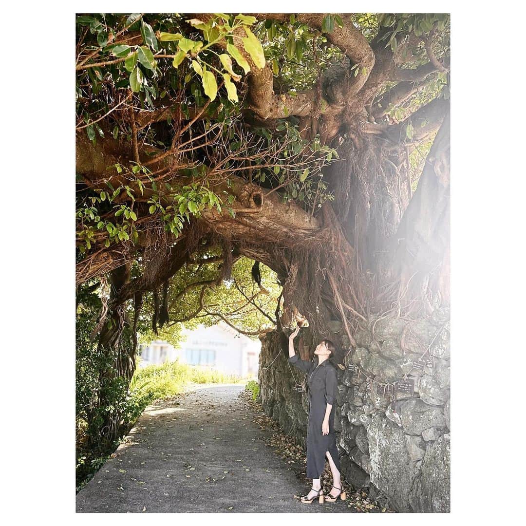 羽舞咲さんのインスタグラム写真 - (羽舞咲Instagram)「🎗AKO HOUSE ⁡ 五島列島・福江島 大浜地区にある アコウの木とニコラス（@nichosensei）とわたし ⁡ 6月4日（日）にオープンした グローバルゲストハウス 『AKO HOUSE』（アコウハウス｜@goto_ako_house）には 人の心を動かすストーリーがあり ⁡ 東京でも たくさんの人にお話しました✨ ⁡ そして10月13・14・15日には 「ラテンリトリート」を 『AKO HOUSE』貸切で開催することも決定‼︎🇨🇱 ⁡ 最新版のラジオ 「羽舞咲のゆるゆるビューティ研究所」では 『AKO HOUSE』が生まれる前からよく知る 五島のラジオパーソナリティ 山内創楽（@soradio_goto）さんと その魅力をたっっっぷり語っていますので ⁡ Vol.146 〜ドラマで話題の五島列島!! 最新キーワードは 『AKO HOUSE』（アコウハウス）！？〜  ⁡ よかったらプロフィールリンクから 聴いてみてもらえたら嬉しいです♪ (*´-`*) ⁡ ⁡ ┅┅┅┅┅┅┅┅┅┅┅┅┅┅┅┅┅┅┅┅ ⁡ 🎧神宮前ラジオ 「羽舞咲のゆるゆるビューティ研究所」 （毎週水曜日オンエア） ⁡ 🇨🇱「ラテンマインド研究室」 ラテンマインドを通じて当たり前を考え直し、日本人の殻を破るzoomワークショップ ⁡ 📸「五島の景色とあなたを結ぶ撮影会」 ⁡ 心を込めてお届けします♡ ⁡ @herbemi プロフィールリンクをチェック！！ ⁡ ┅┅┅┅┅┅┅┅┅┅┅┅┅┅┅┅┅┅┅┅ ⁡ #サスティナブル #風の時代 #シンプルライフ #ライフシフト #スローライフ #ヘルシーライフ #セルフラブ #ナチュラルライフ #癒し時間 #旅する人生 #サスティナブルライフ #自分らしく生きる #五島列島 #リトリート #アコウの木 #しあわせな時間 #ゲストハウス #自然暮らし #地方移住 #アコウハウス #ニコラス #羽舞咲 ⁡」6月19日 0時56分 - herbemi