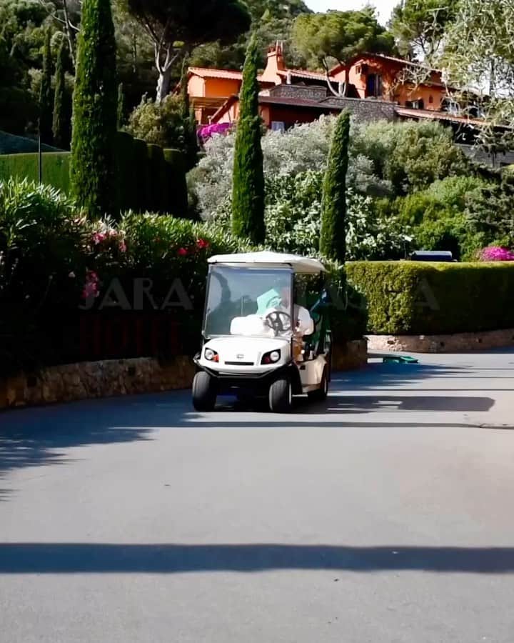 サラバターリアのインスタグラム