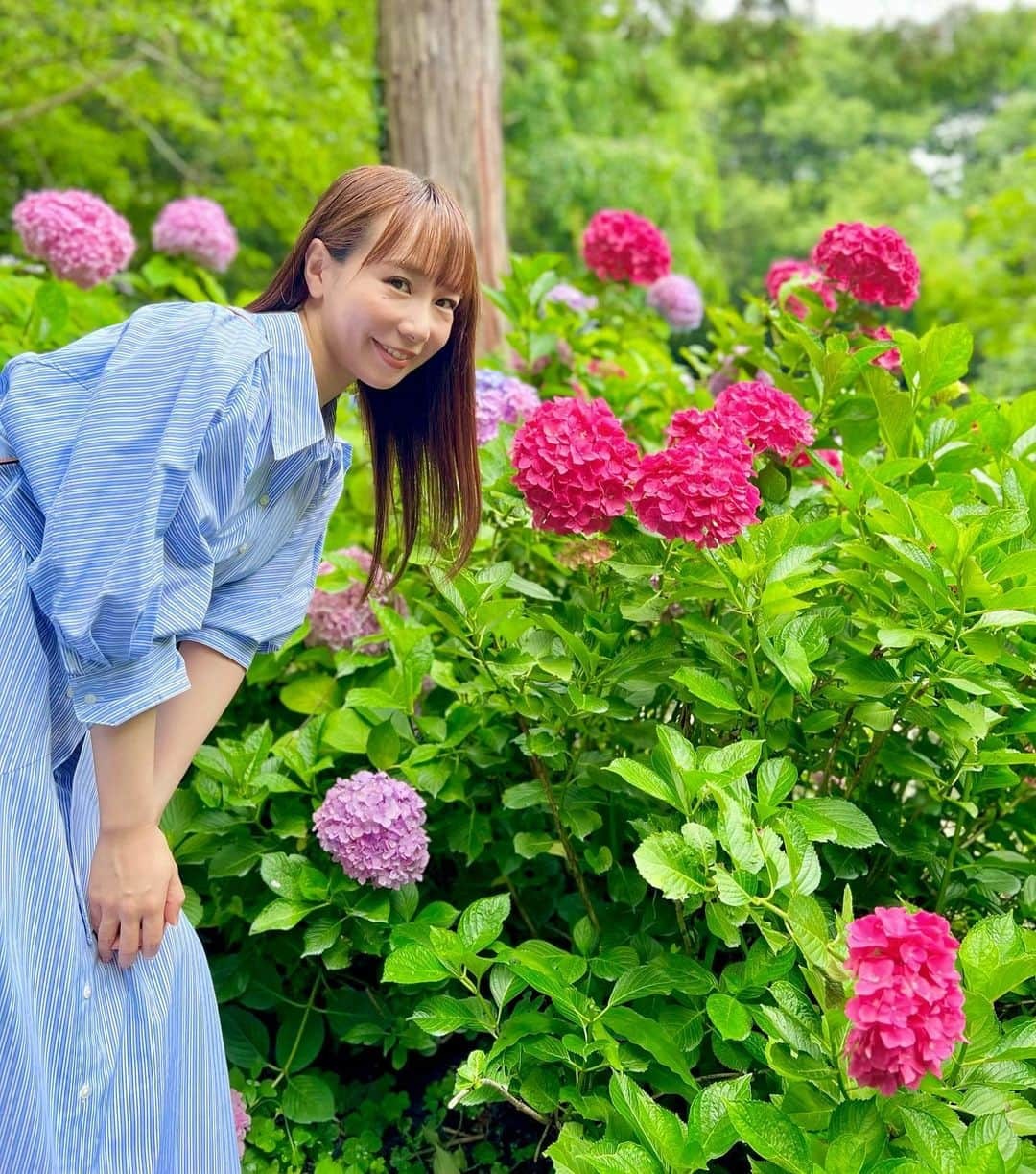 島川未有のインスタグラム：「紫陽花を観に行ってきました☔️ 紫陽花、好きなんです🥹 梅雨時の1番の楽しみ🤭 夏☀️を感じるようになってきたので、お気に入りの虹色🌈カゴバックをおろしました🧺😎  #紫陽花#紫陽花寺#紫陽花の季節#徳島紫陽花#熊谷寺」