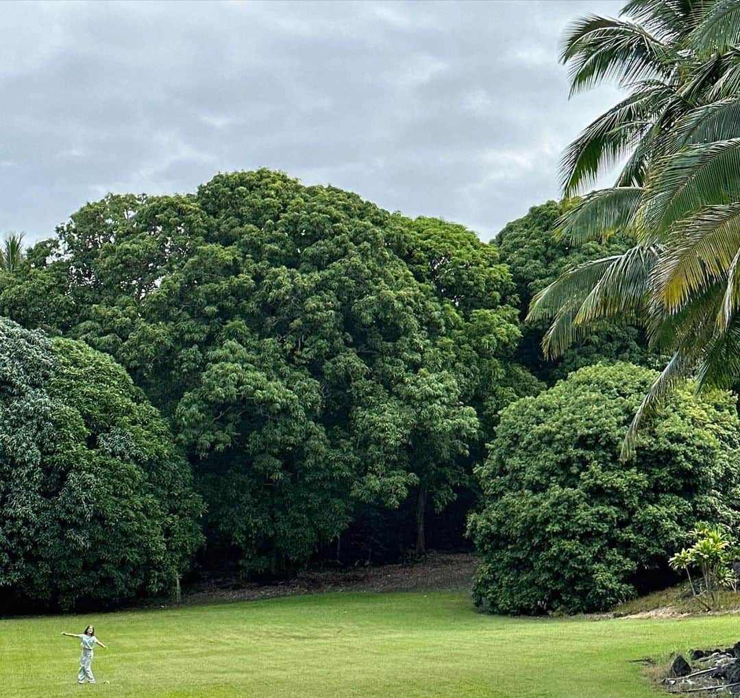 タック・ワトキンスさんのインスタグラム写真 - (タック・ワトキンスInstagram)「Father’s Day is grand. Father’s Day with your father is grander. Father’s Day with your father in Hawaii is the grandest!」6月19日 11時31分 - tucwatkins