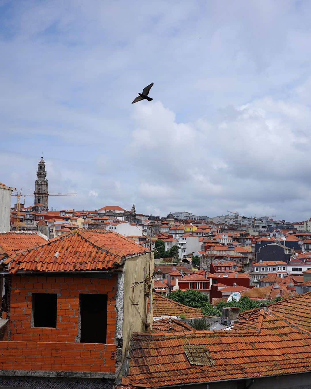 長尾悦美さんのインスタグラム写真 - (長尾悦美Instagram)「Porto旅🇵🇹  #portugal  #porto」6月19日 3時37分 - yoshiminagao